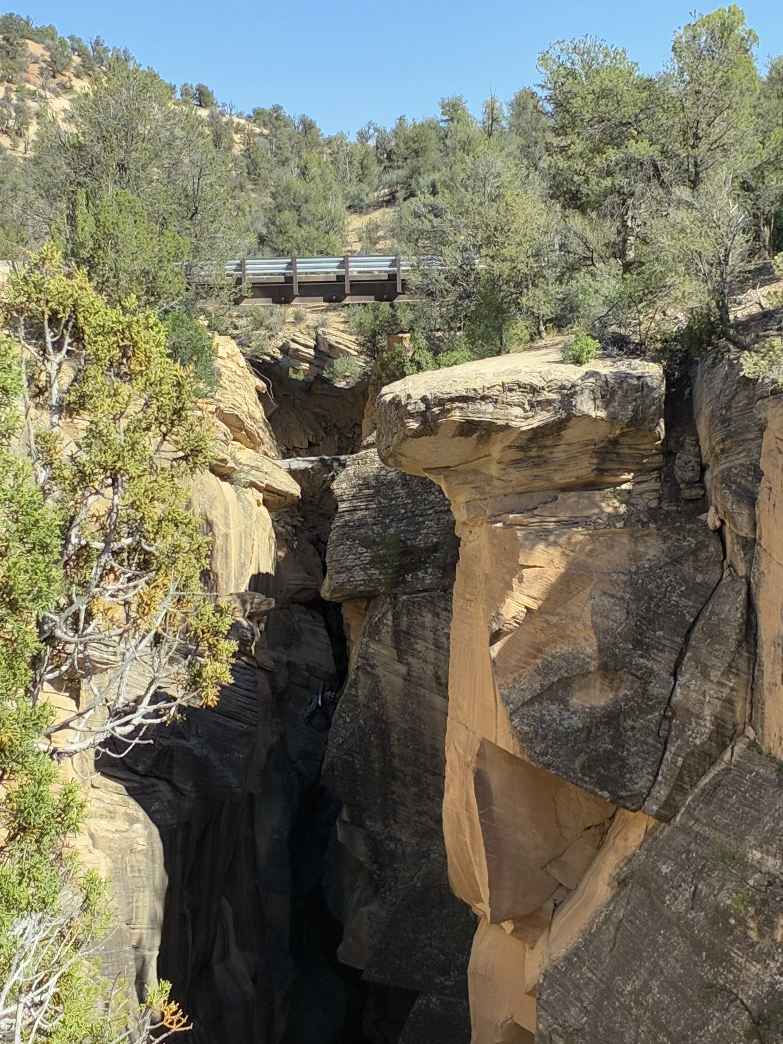 Which trail in Grand Staircase-Escalante is the car wedged in the canyon?