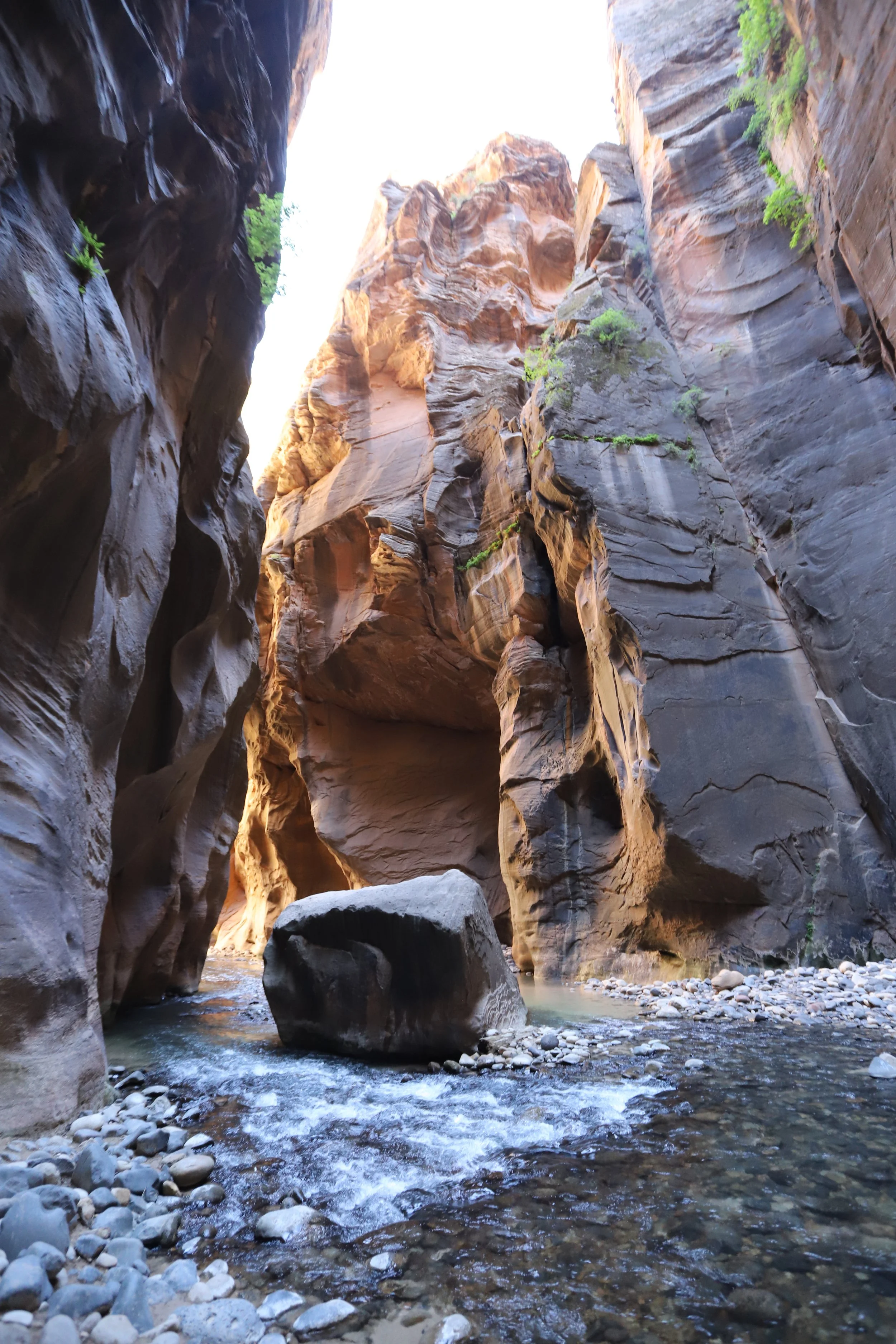 Narrows floating rock