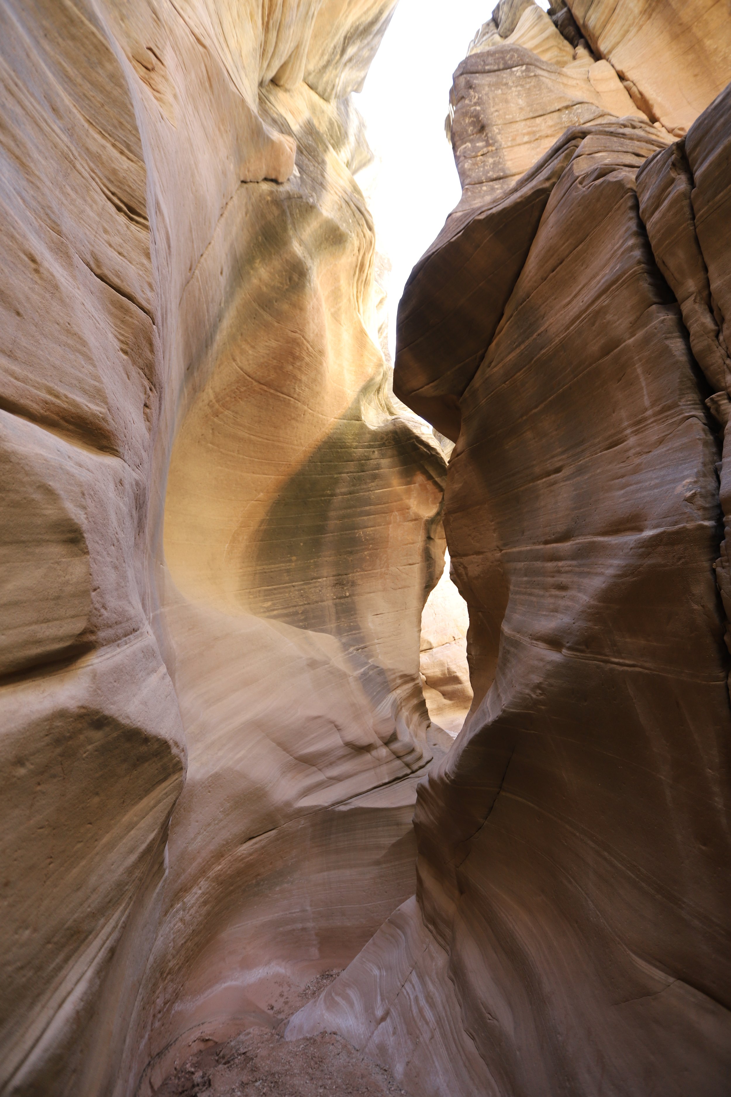 Is there mud in Bull Valley Gorge?