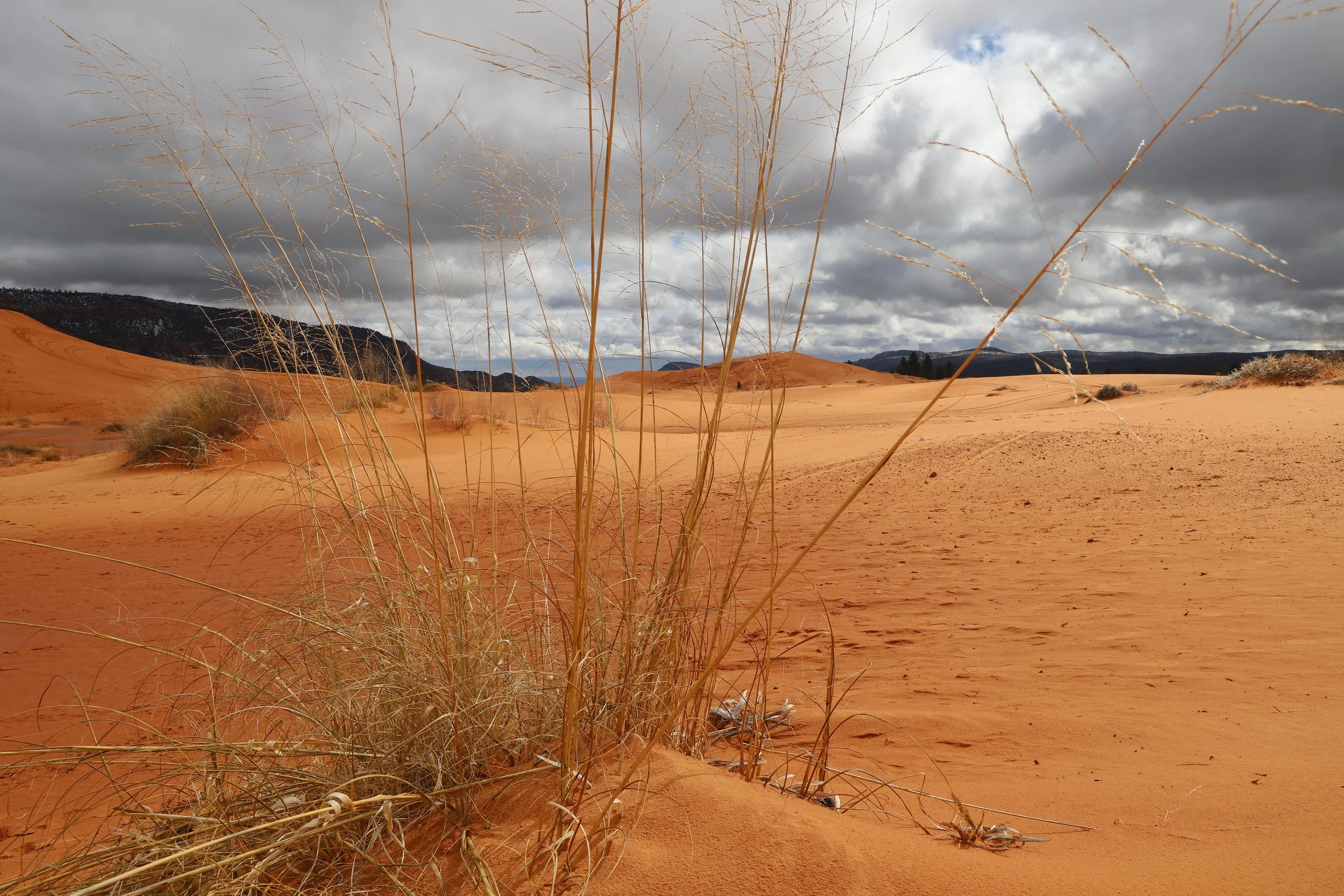 Sand Dunes near St. George
