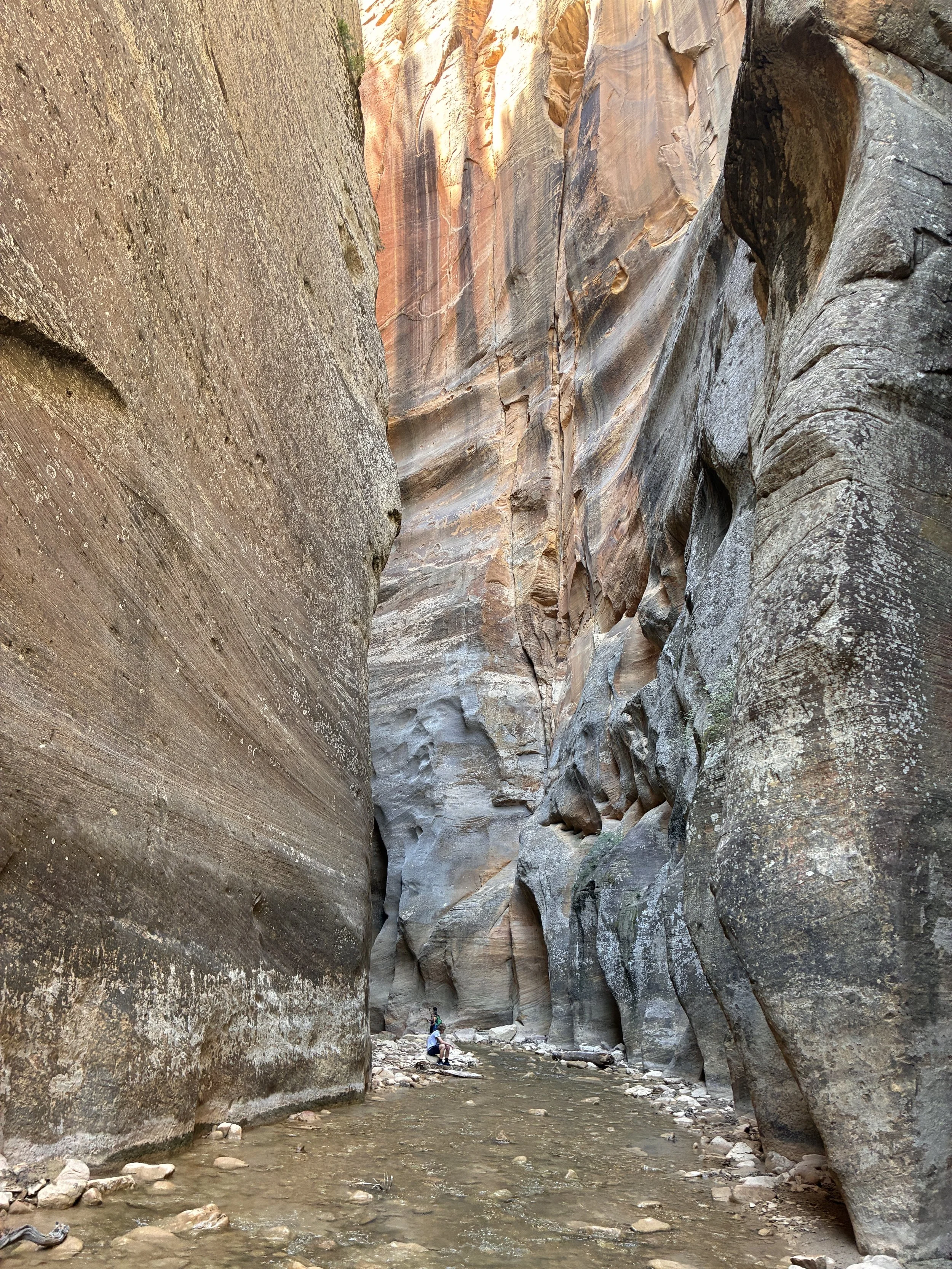 Narrows top-down or bottom-up