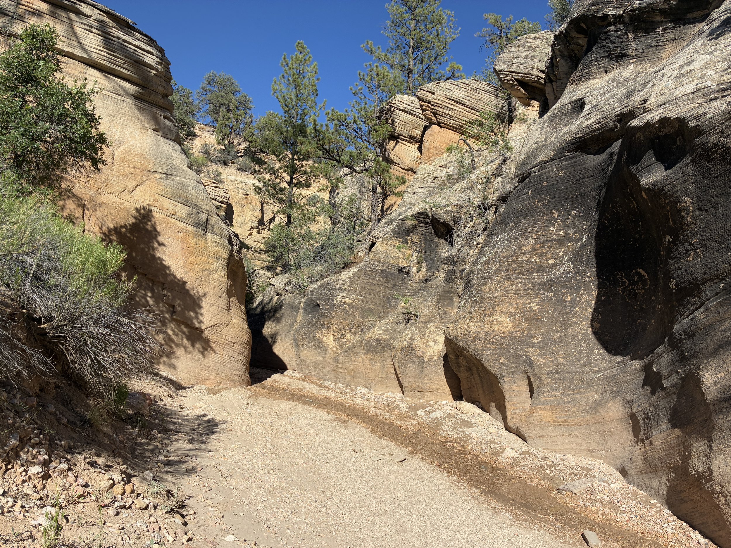Is Willis Creek Slot Canyon Exposed to the Sun?
