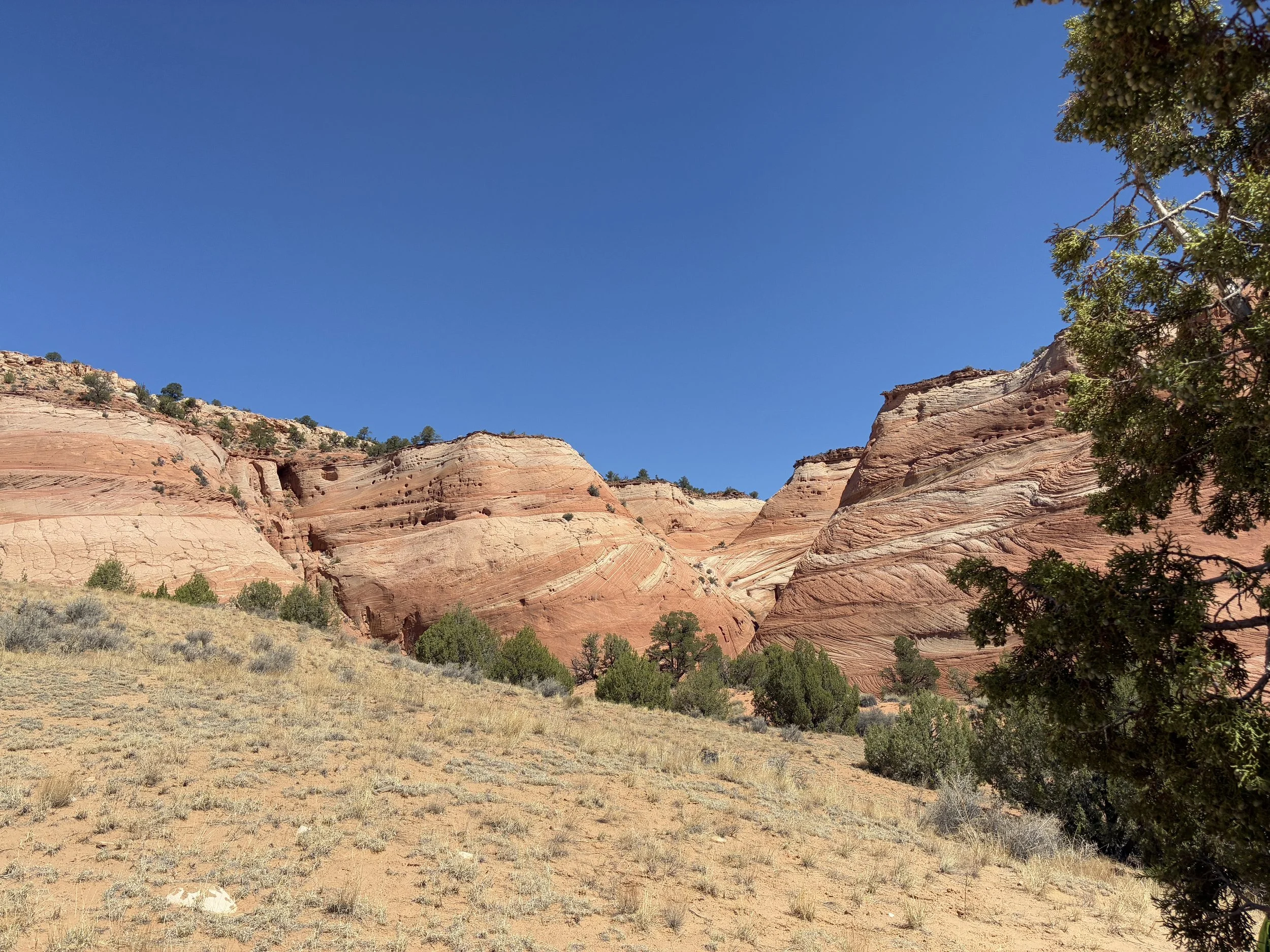 summer hikes in Escalante