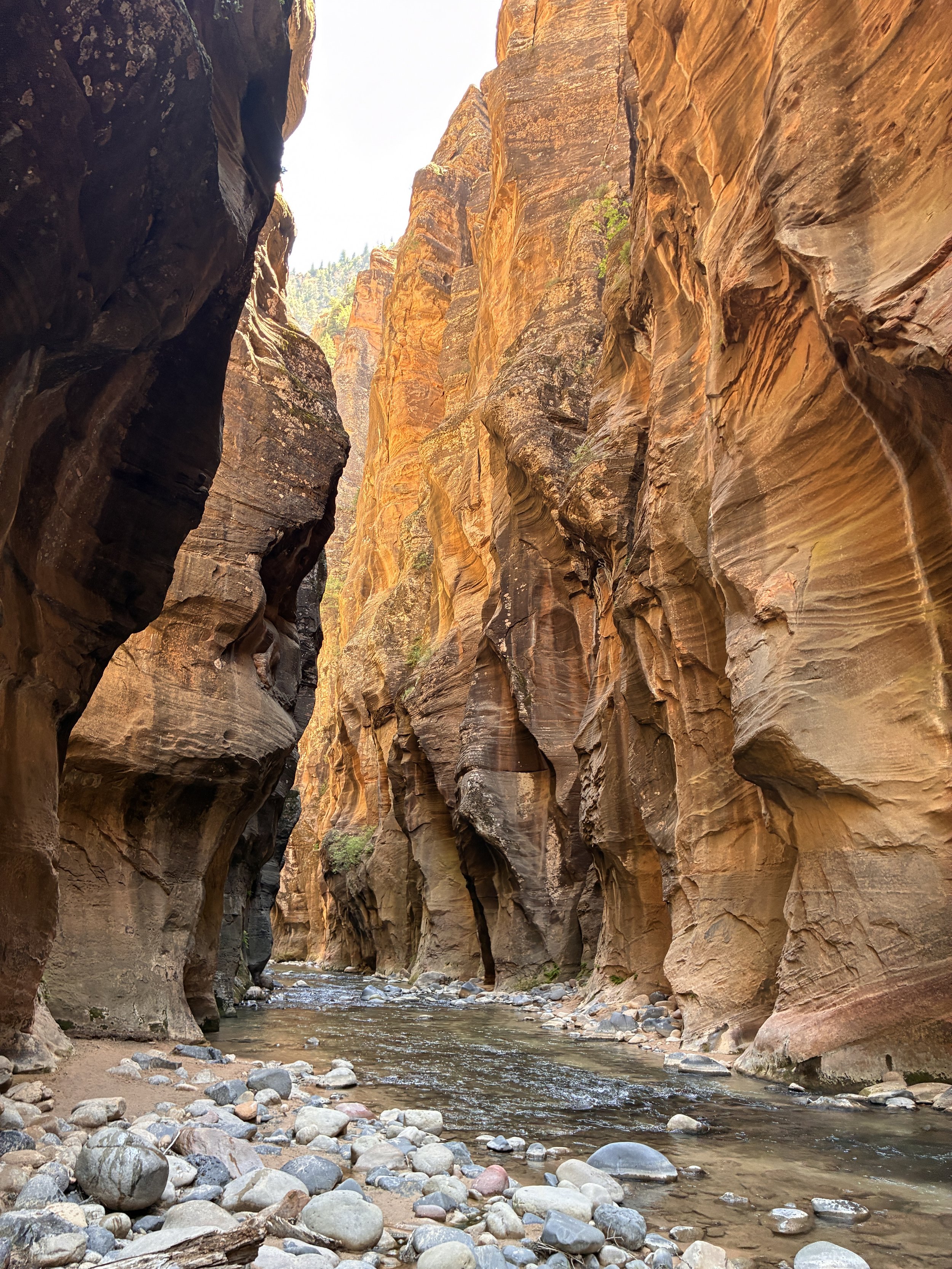 The Narrows flash flood zone
