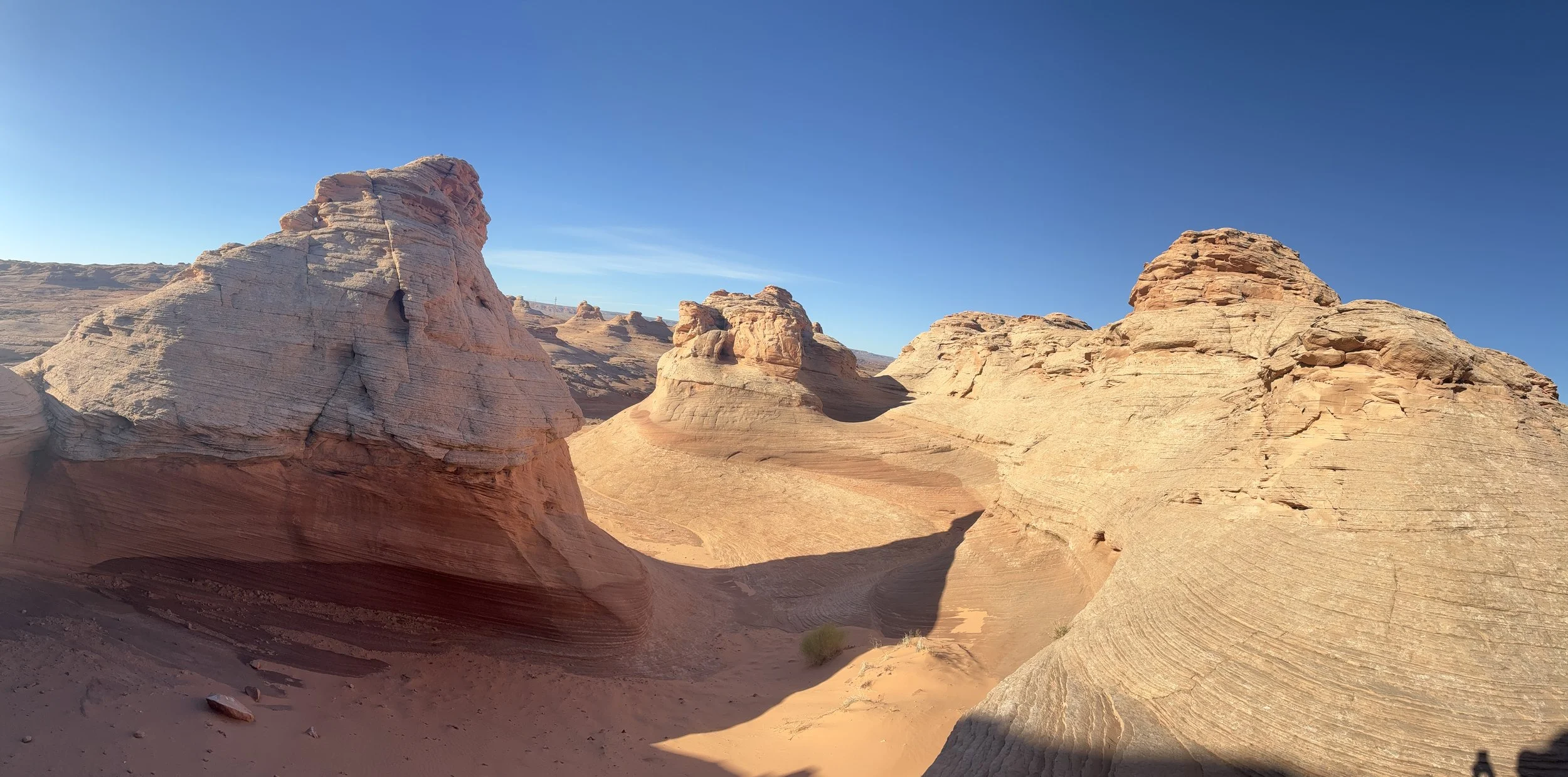 Exploring the Beehive Trail