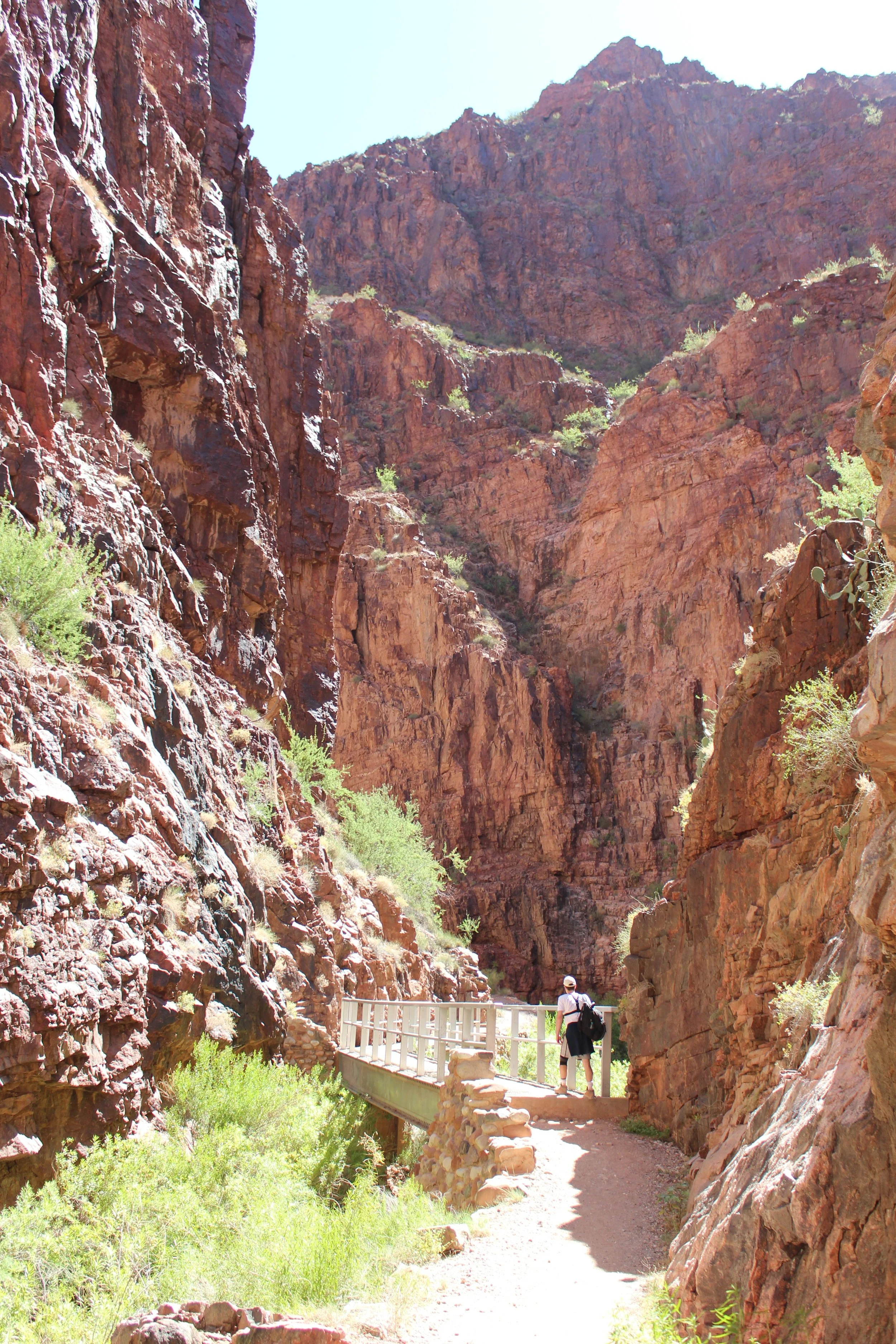 Third footbridge north of Phantom Ranch in the Box