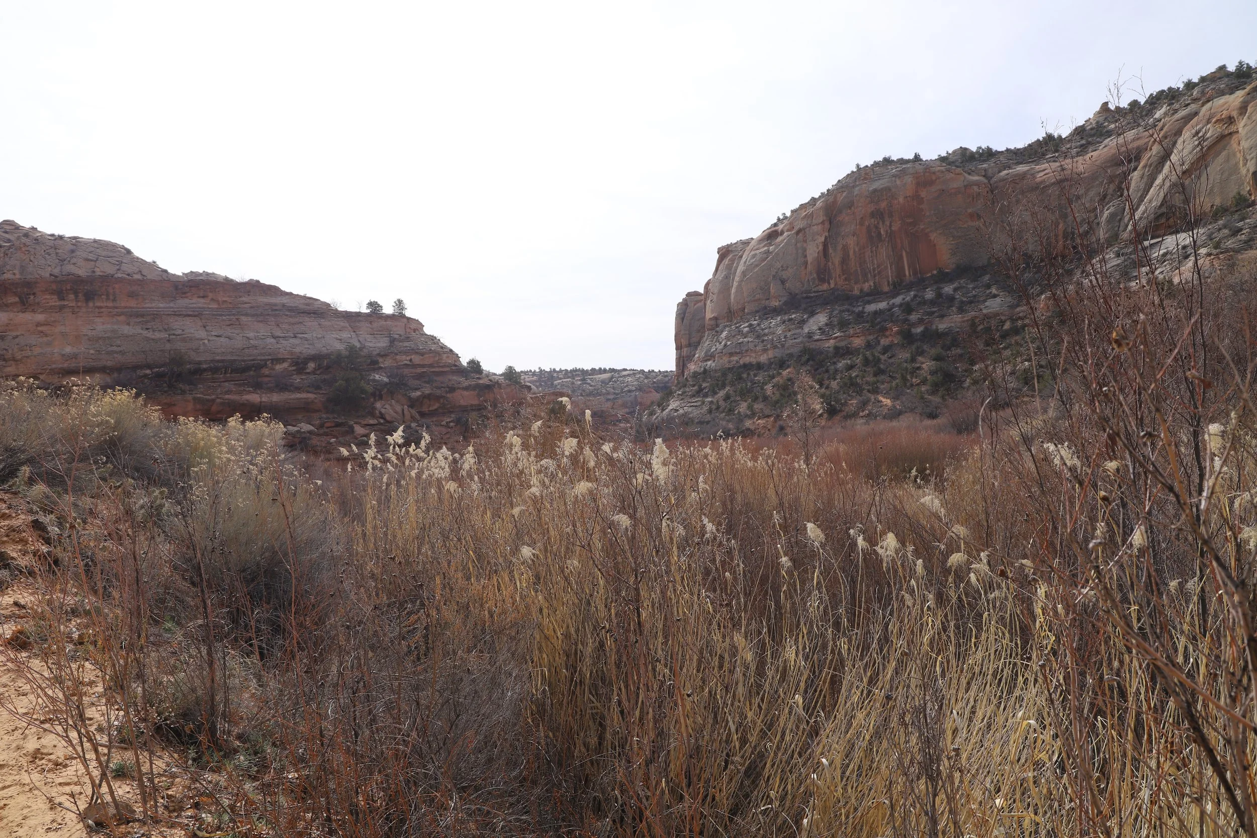 What should I do in Grand Staircase Escalante?
