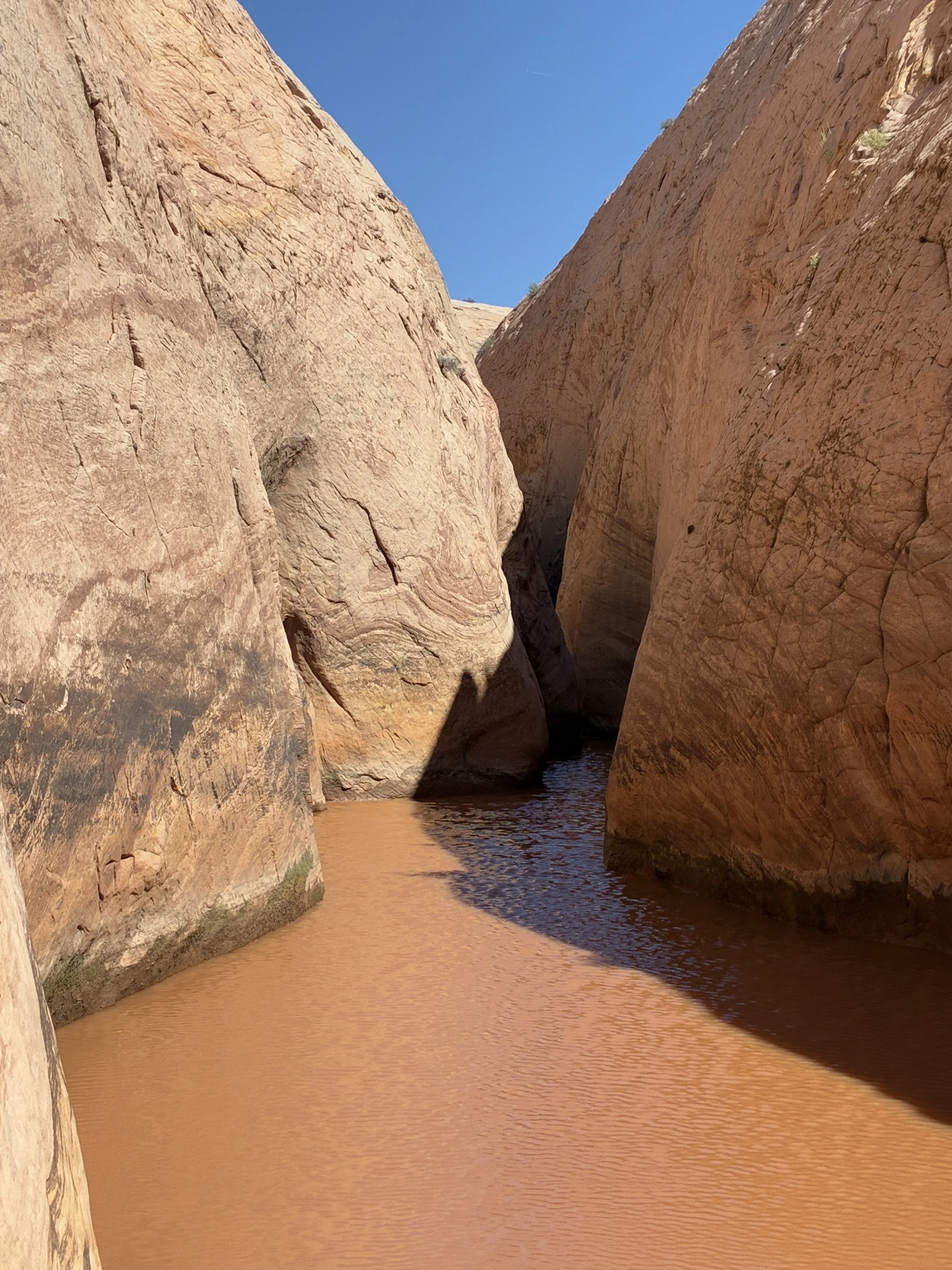 will there be water in Zebra Slot Canyon?