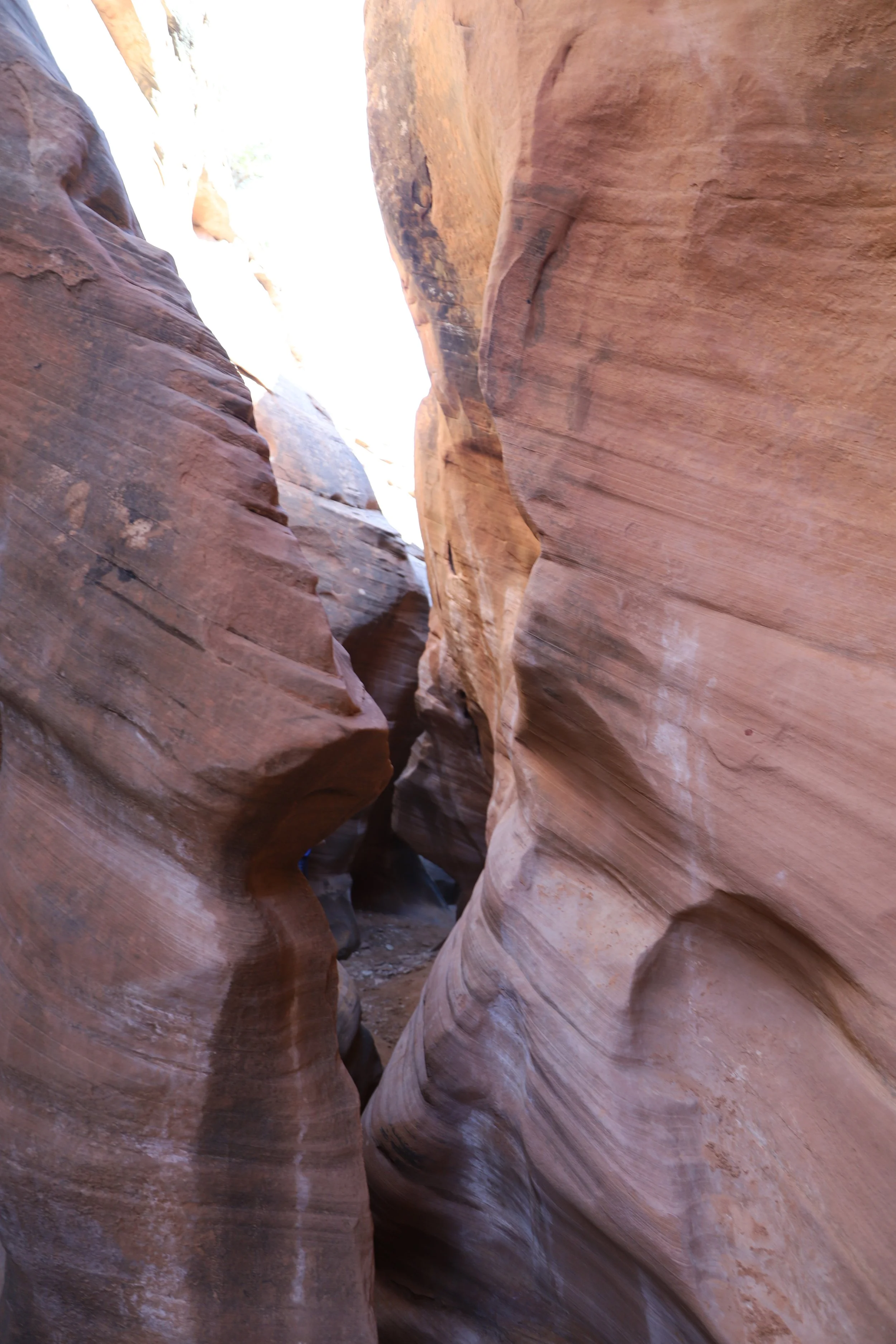 Should I hike Peekaboo Spooky Gulch as two out and backs or a loop?