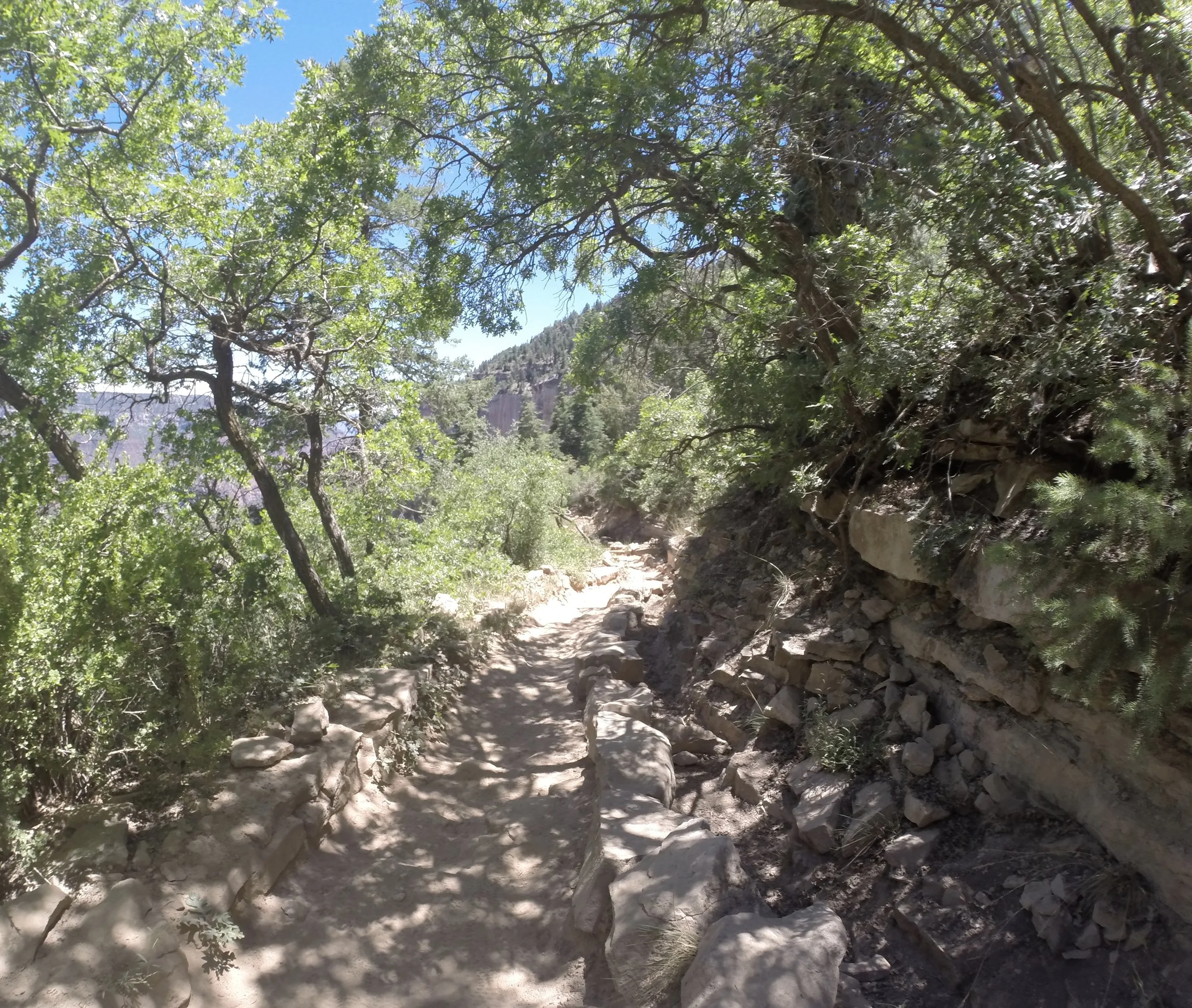 Hiking on the North Rim of the Grand Canyon