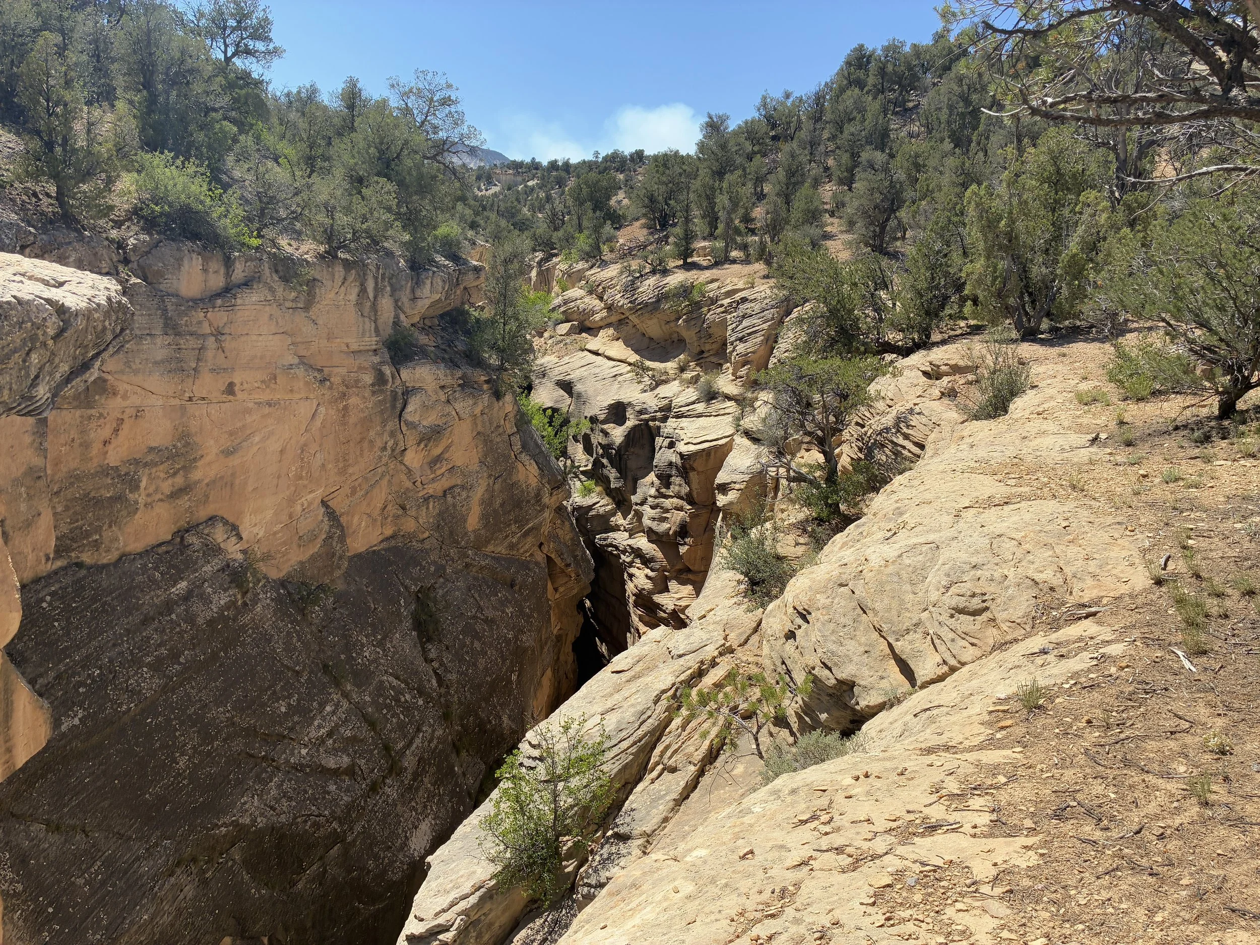 Bull Valley Gorge