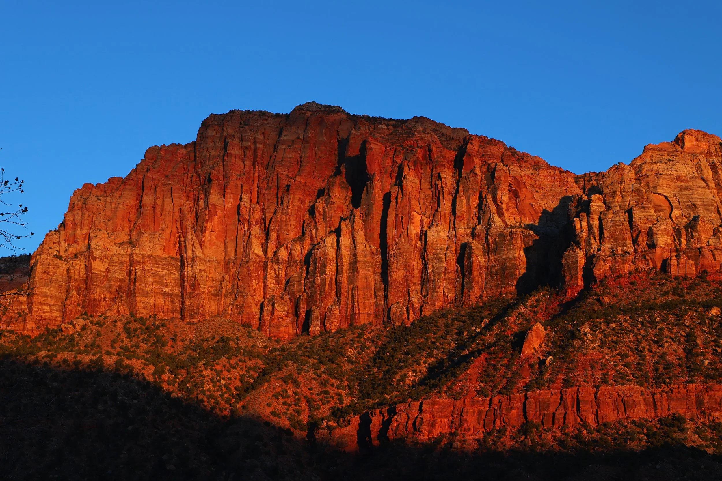 Springdale or Kanab for Zion Lodging?
