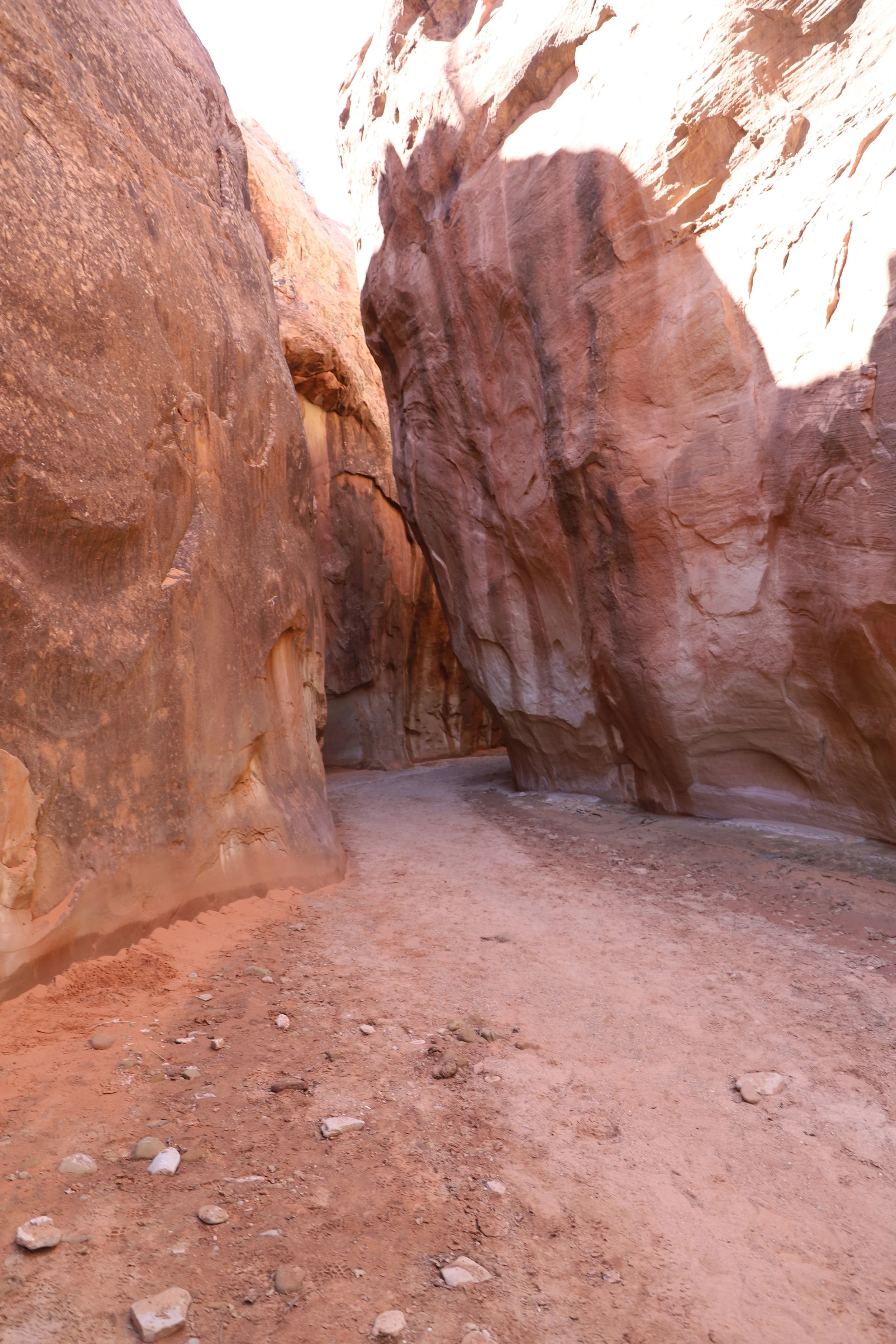 Hiking from Upper Dry Forks Trailhead