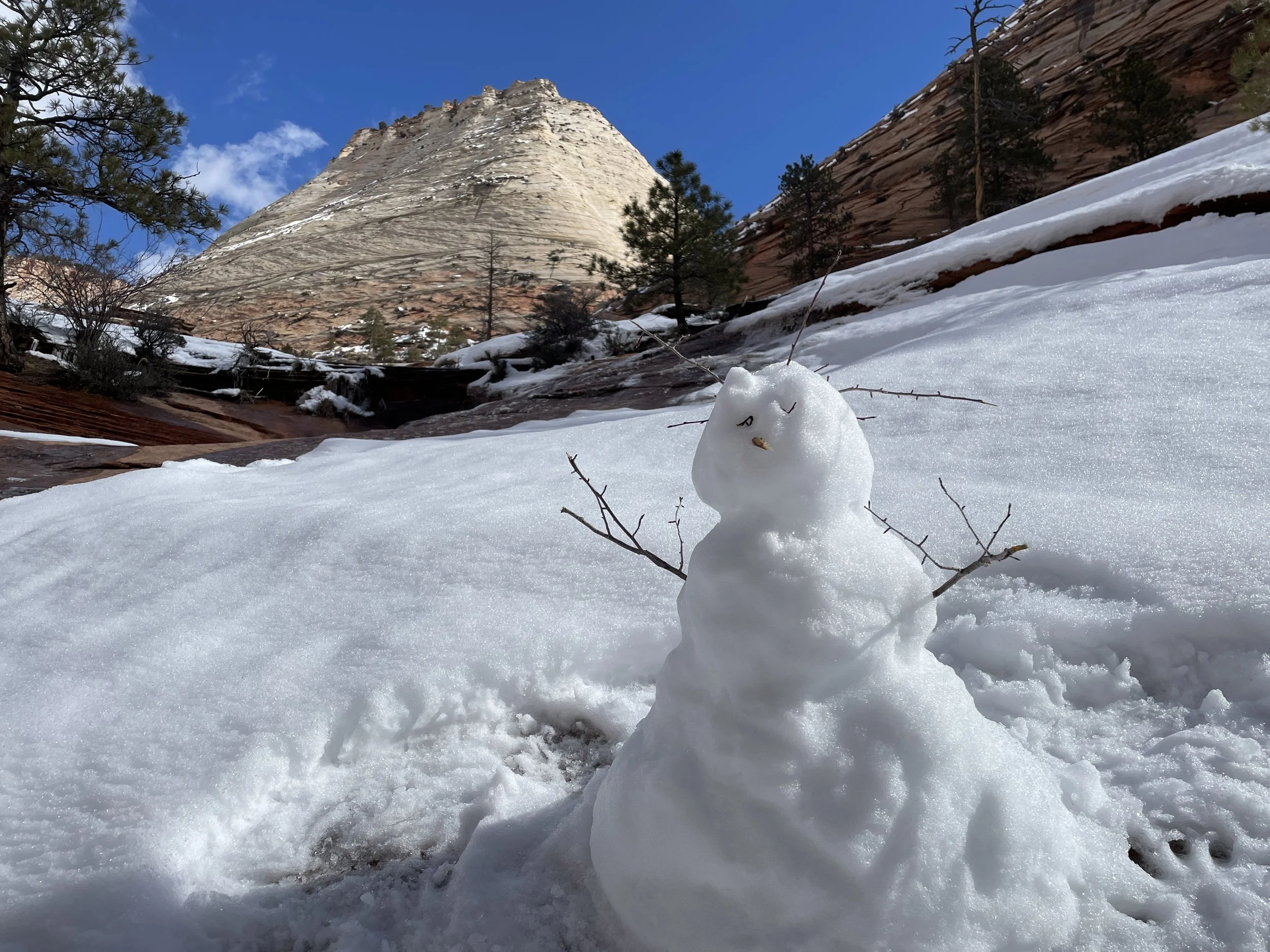 Zion in March does it snow?