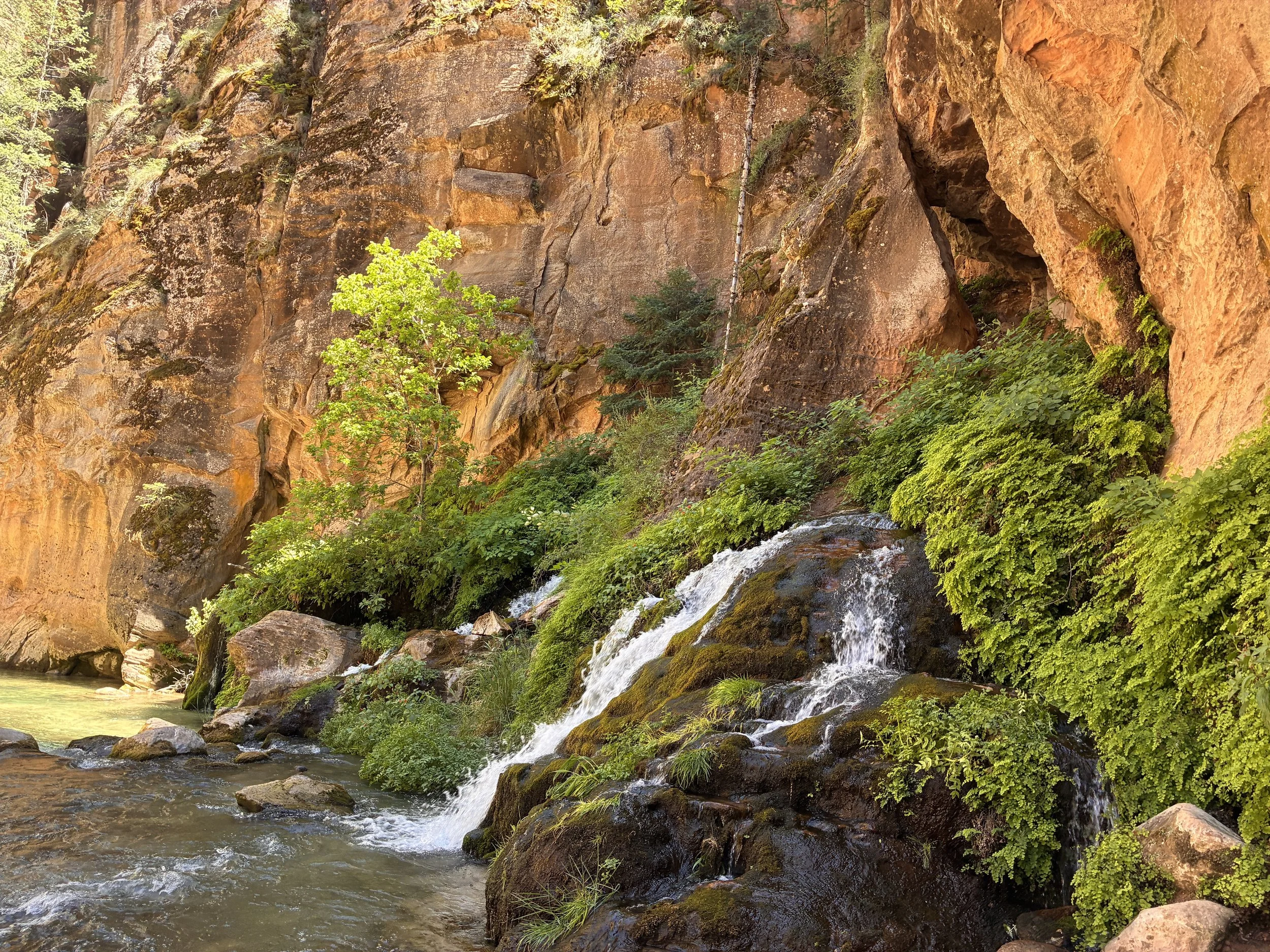 Where can you filter water in the narrows - big springs