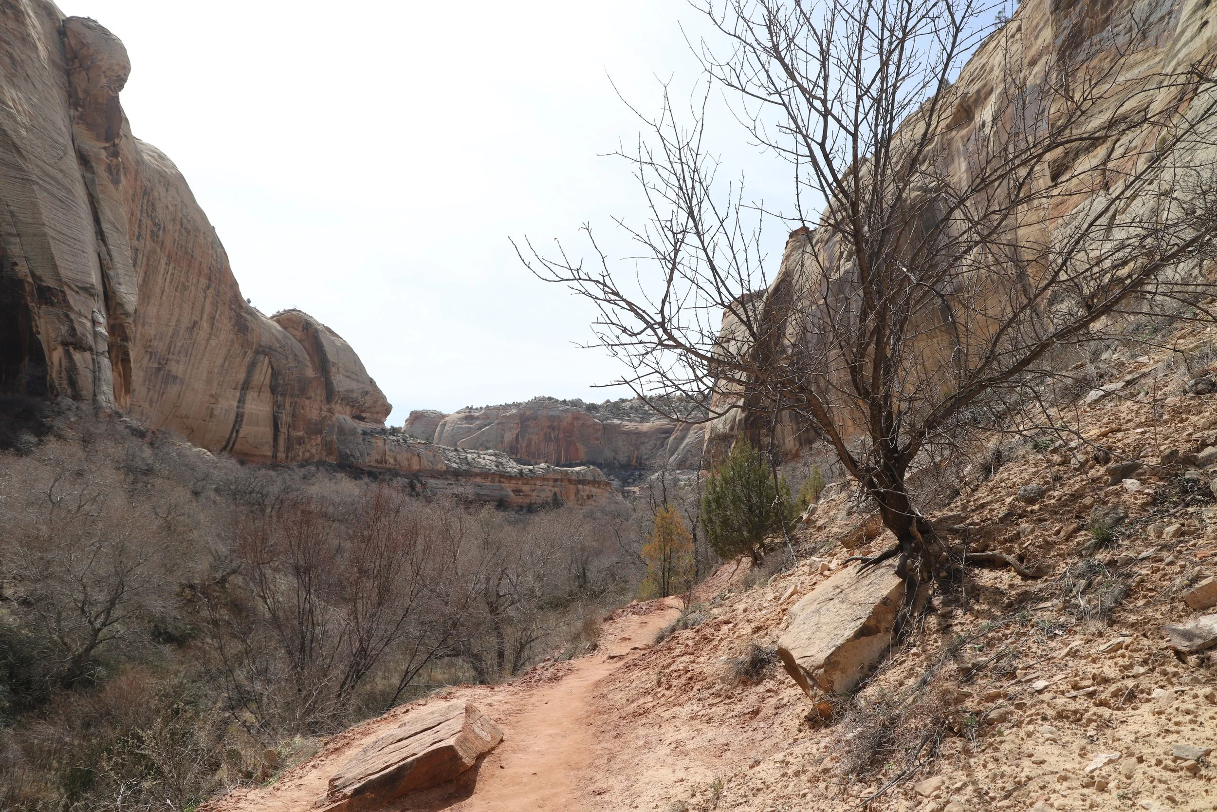 Easy hikes in Grand Staircase Escalante