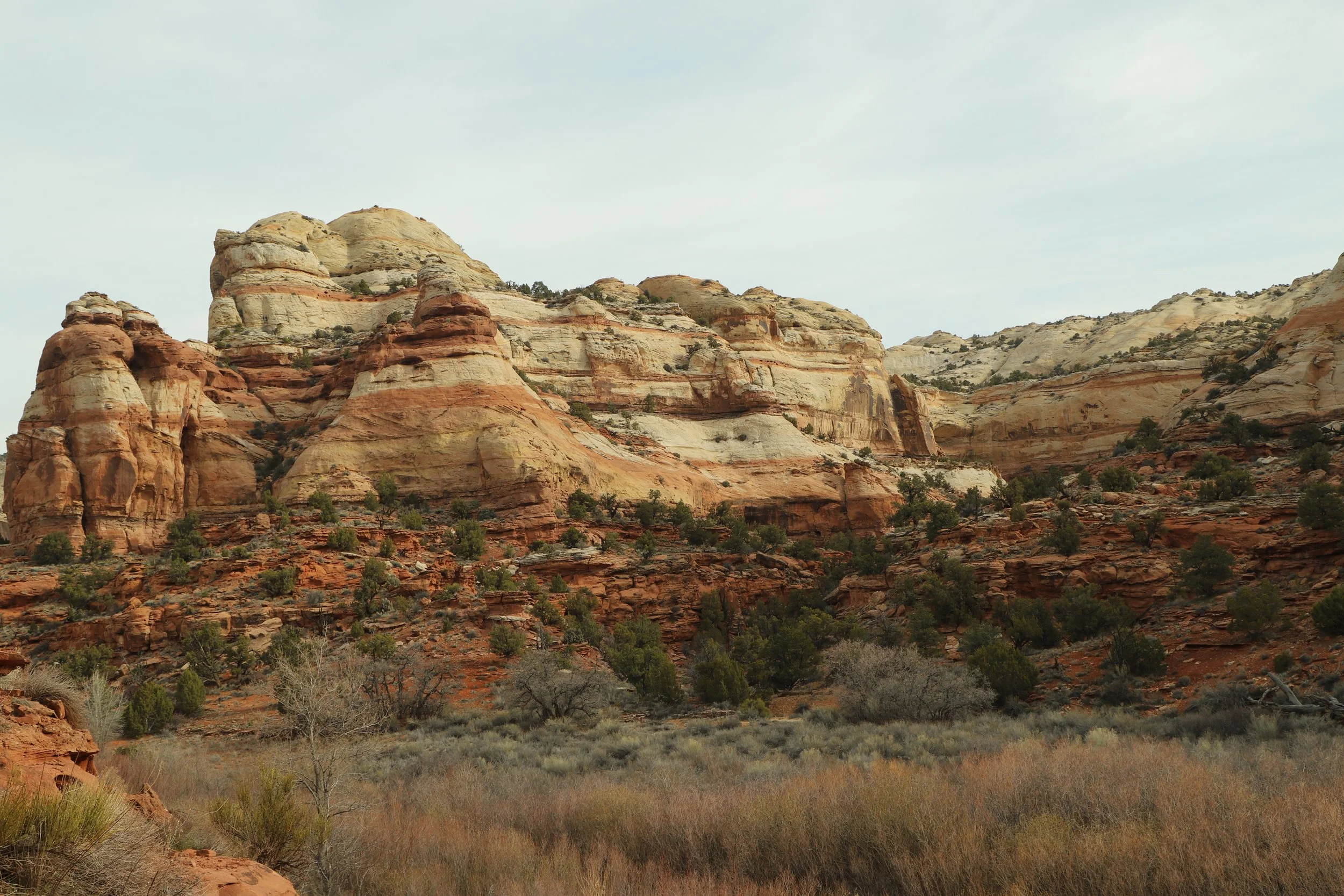 How to find Lower Calf Creek Falls?