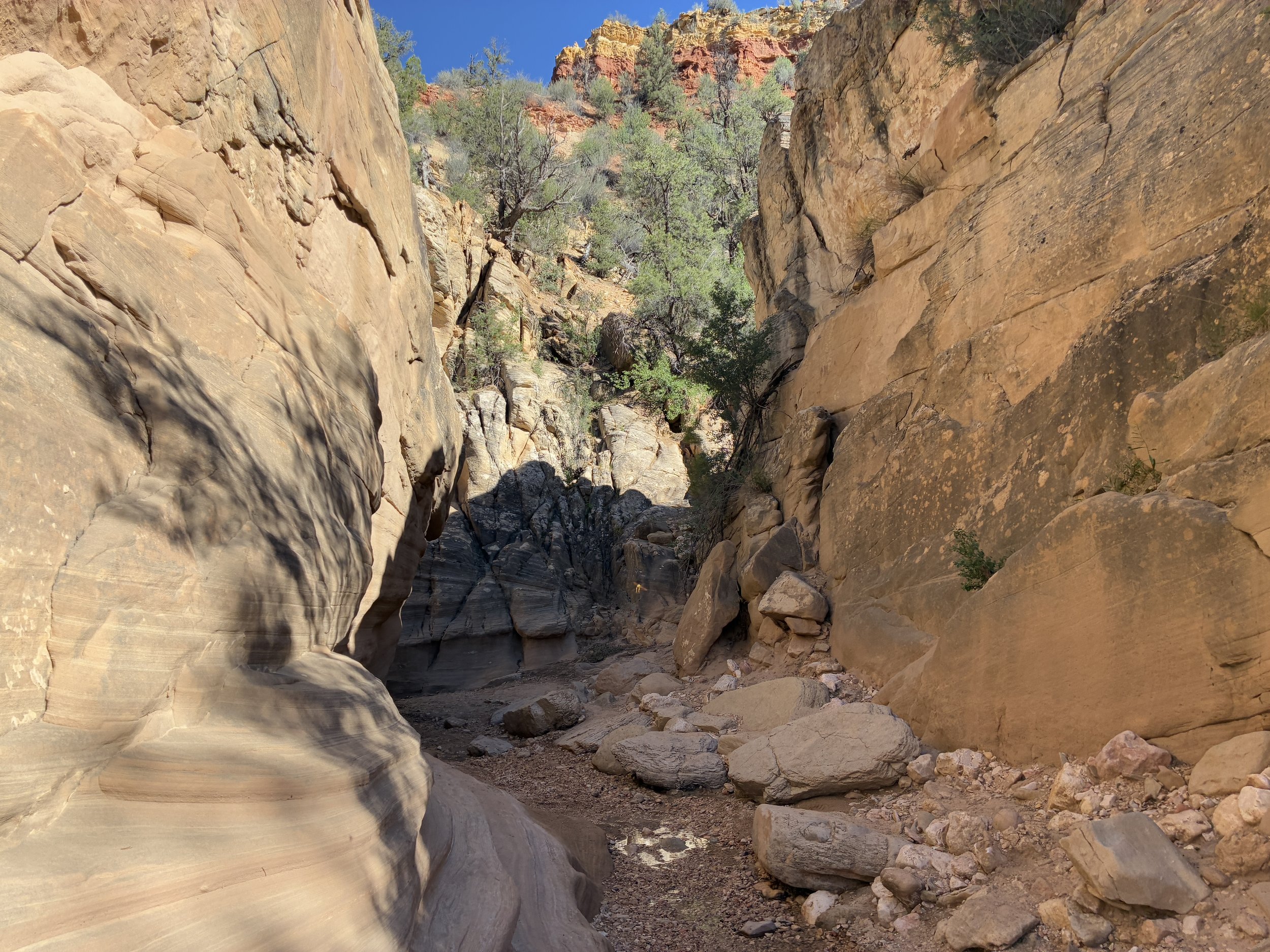 Hiking through Willis Creek