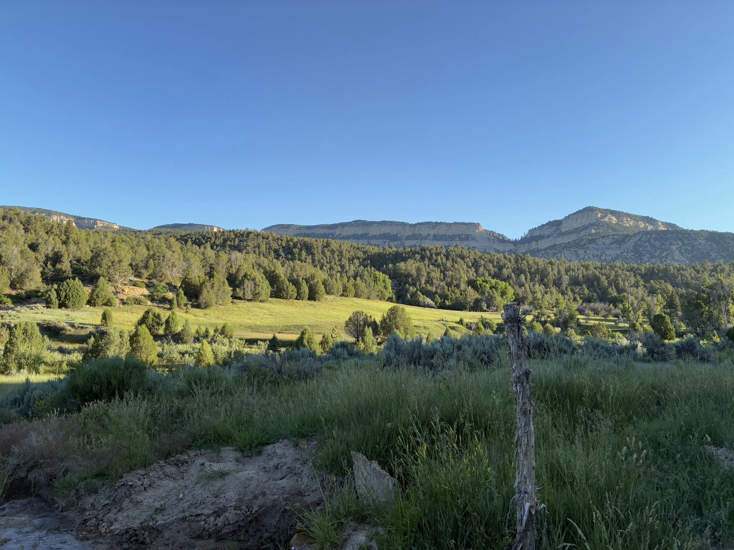 how to get to Chamberlain Ranch Trailhead