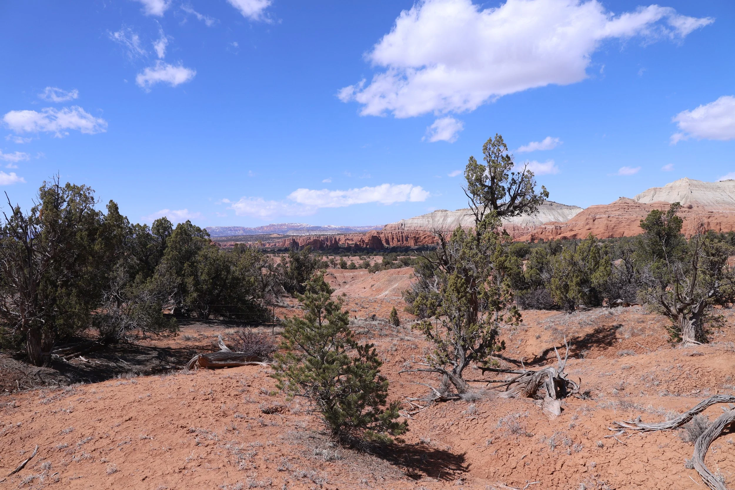 Hiking the Sentinel Trail in Kodachrome