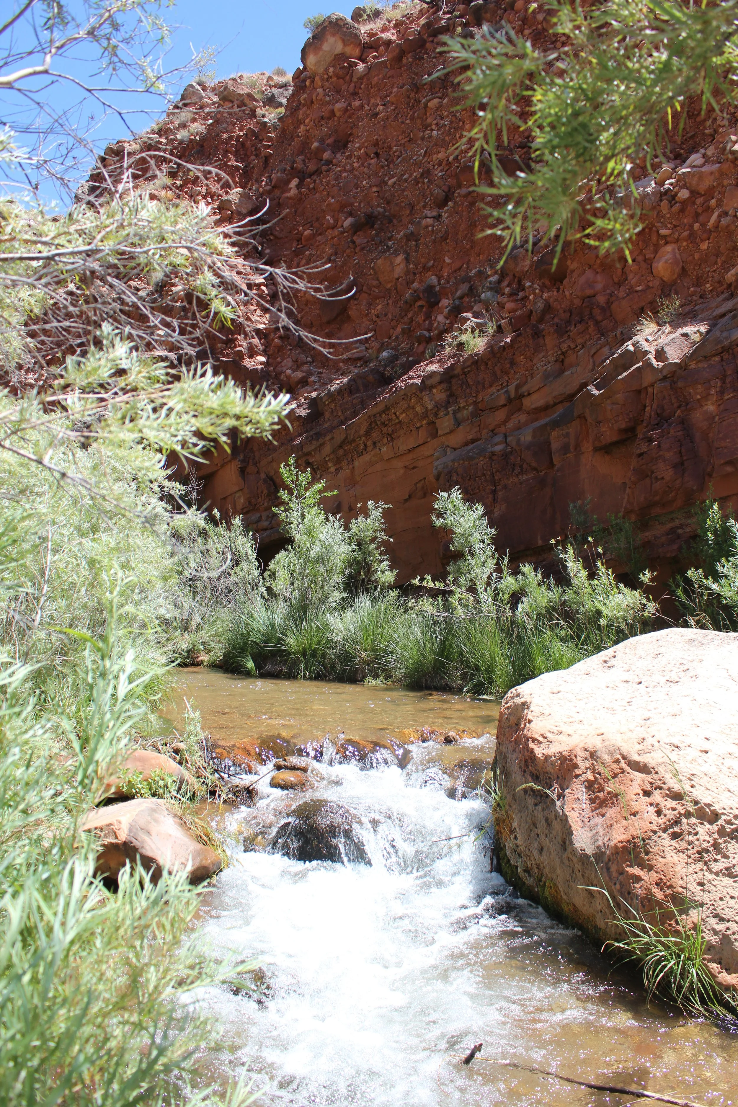 Crossing Bright Angel Creek to get to Ribbon Falls