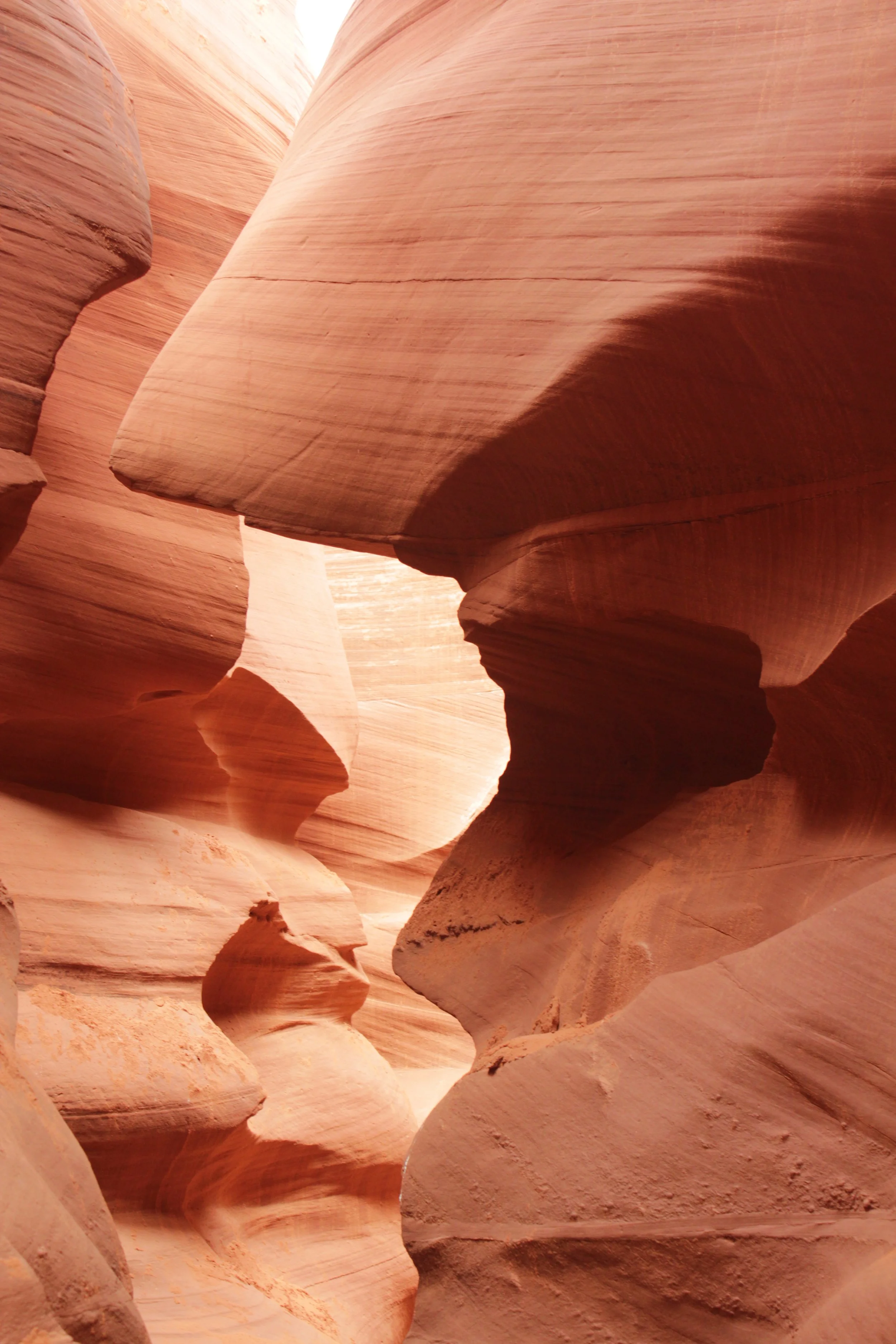 What's fun to do in Page, Arizona?