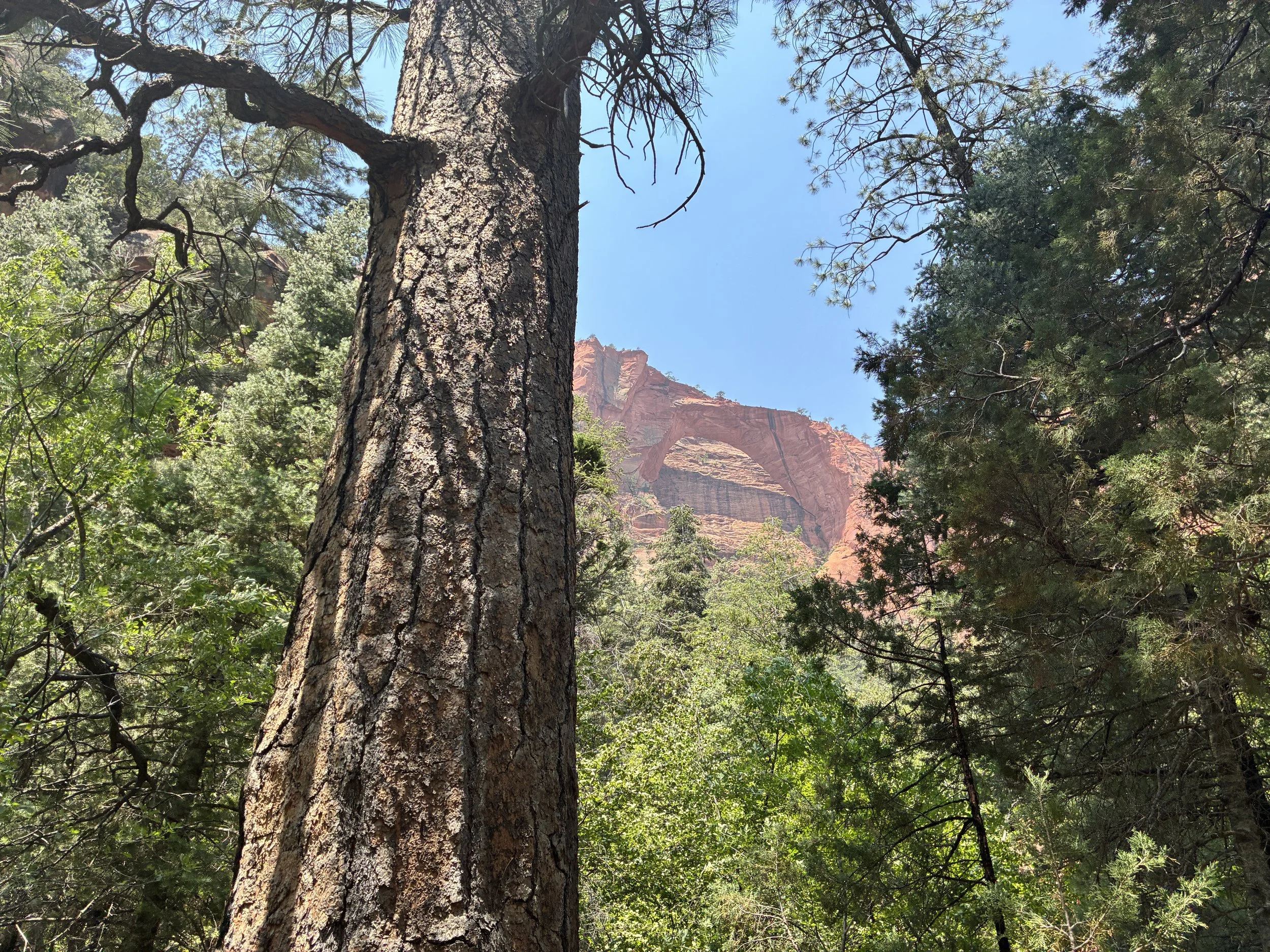 How to find Kolob Canyon entrance