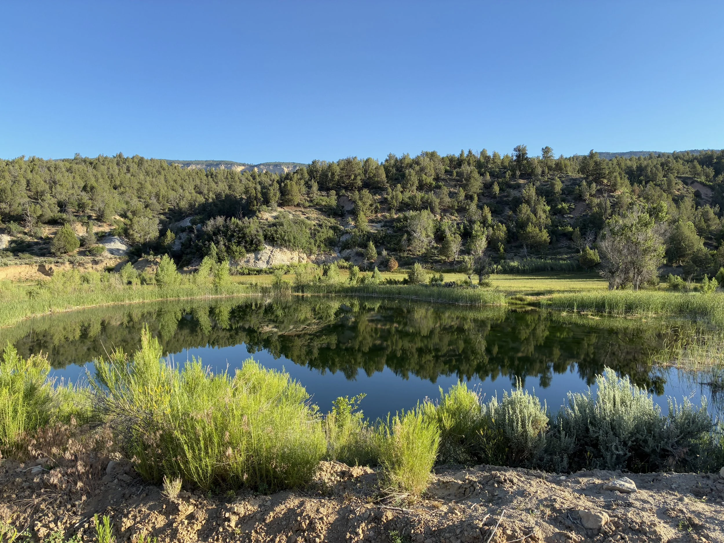 Narrows Chamberlain Ranch