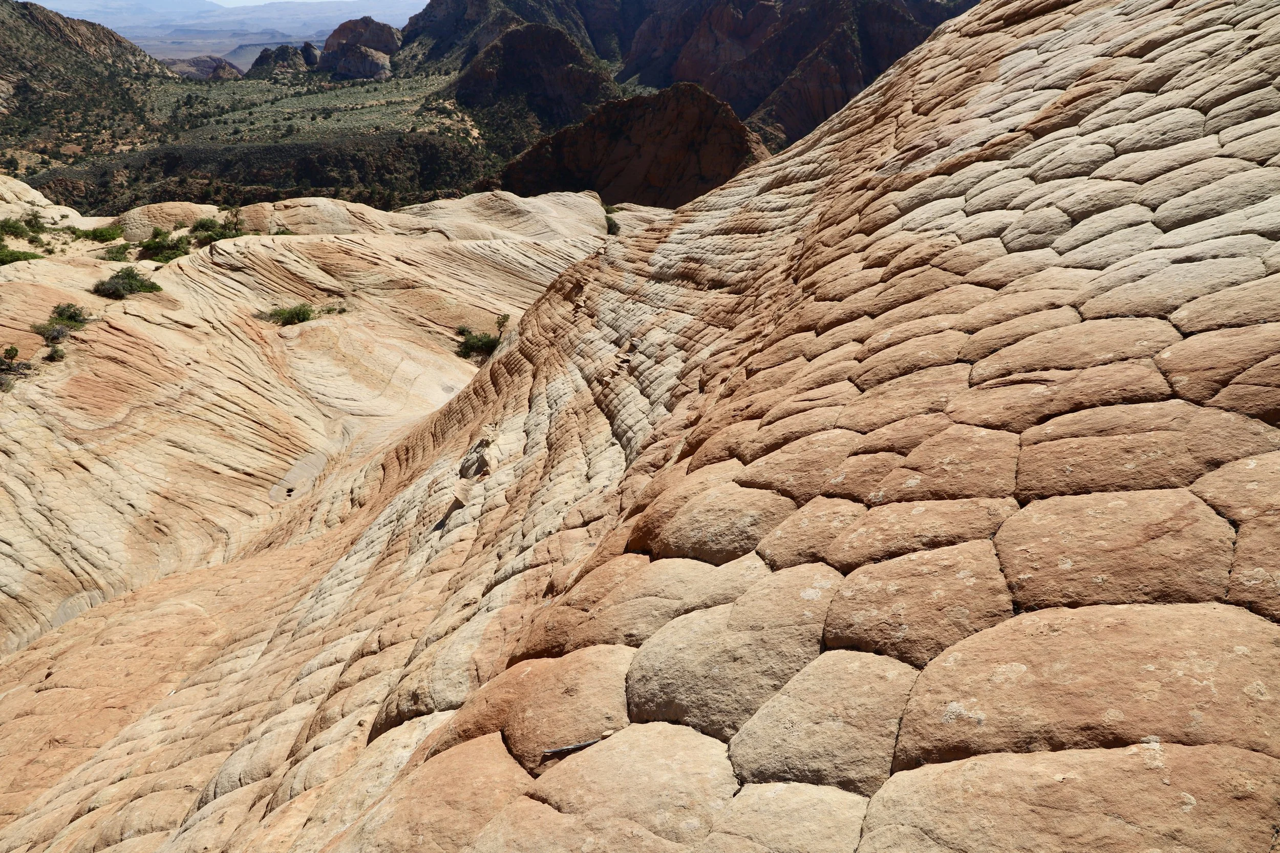 Exploring the Yant Flat Candy Cliffs — Nature Impacts Us
