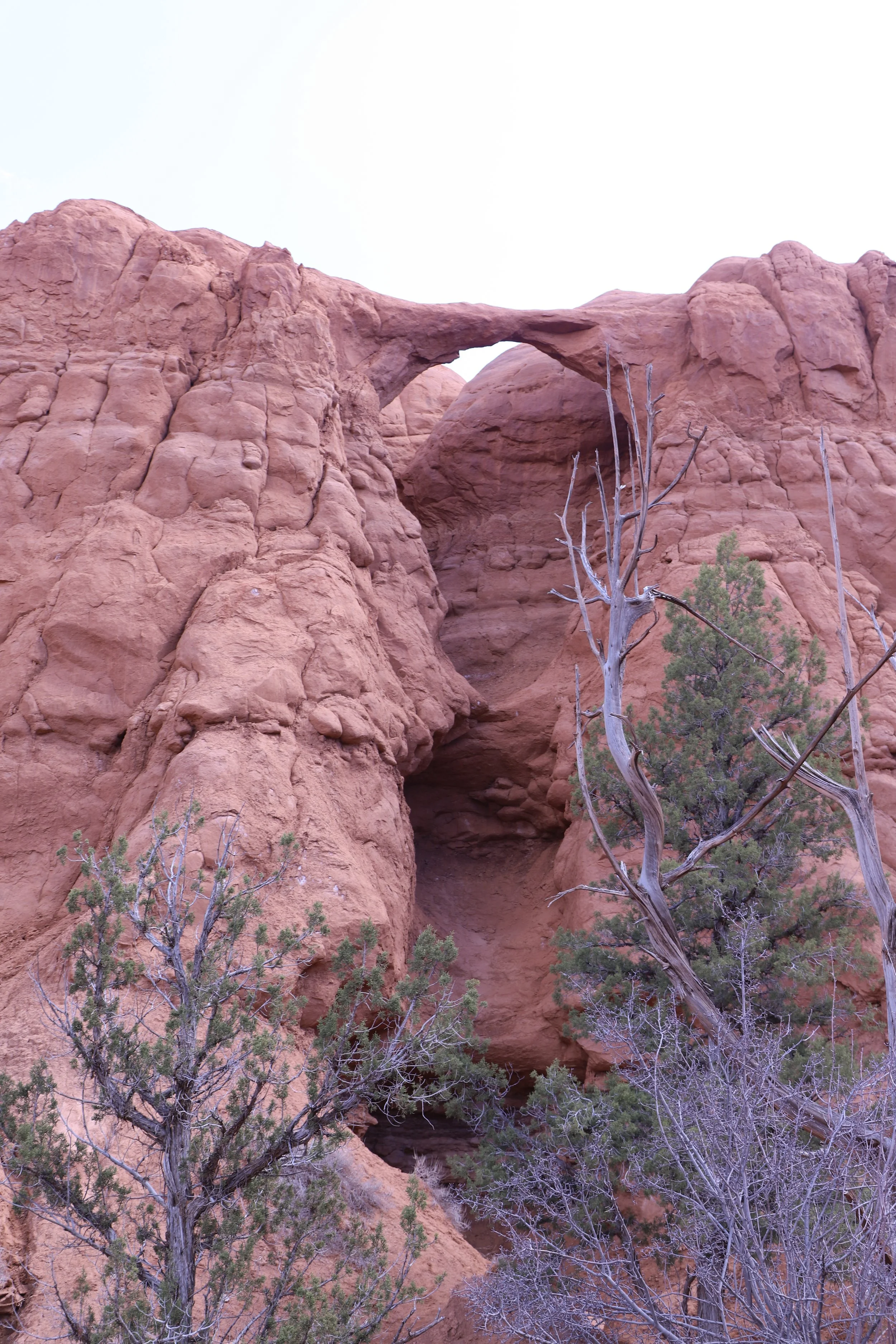 Shakespeare Arch in Kodachrome