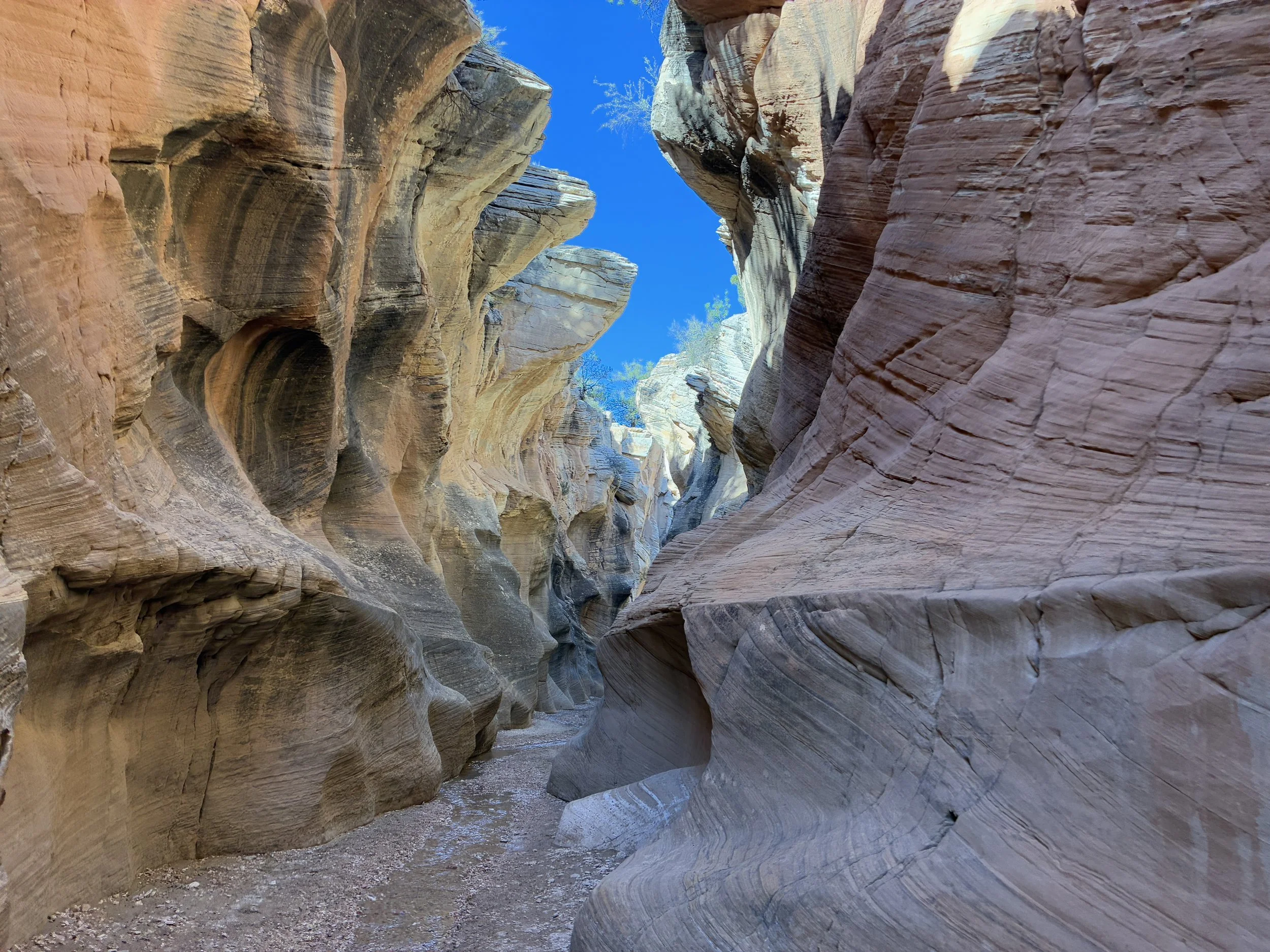 Is there water in Willis Creek Slot Canyon?