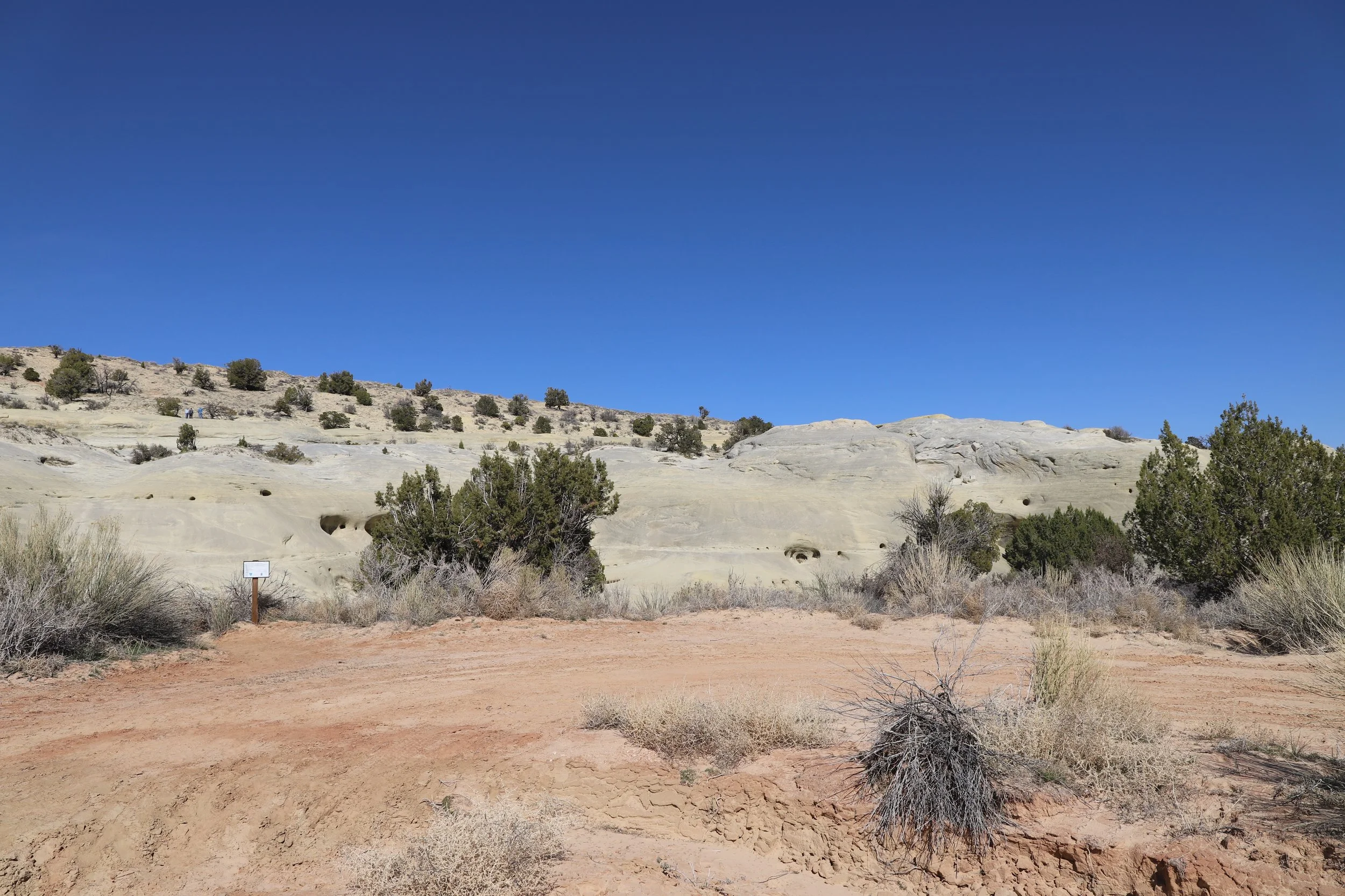where are the dinosaur footprints at Twenty Mile Wash Dinosaur Trackway