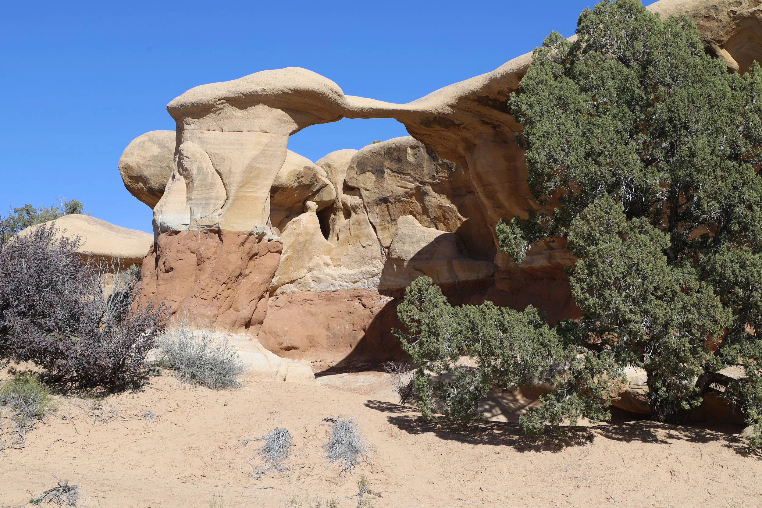 Metate Arch