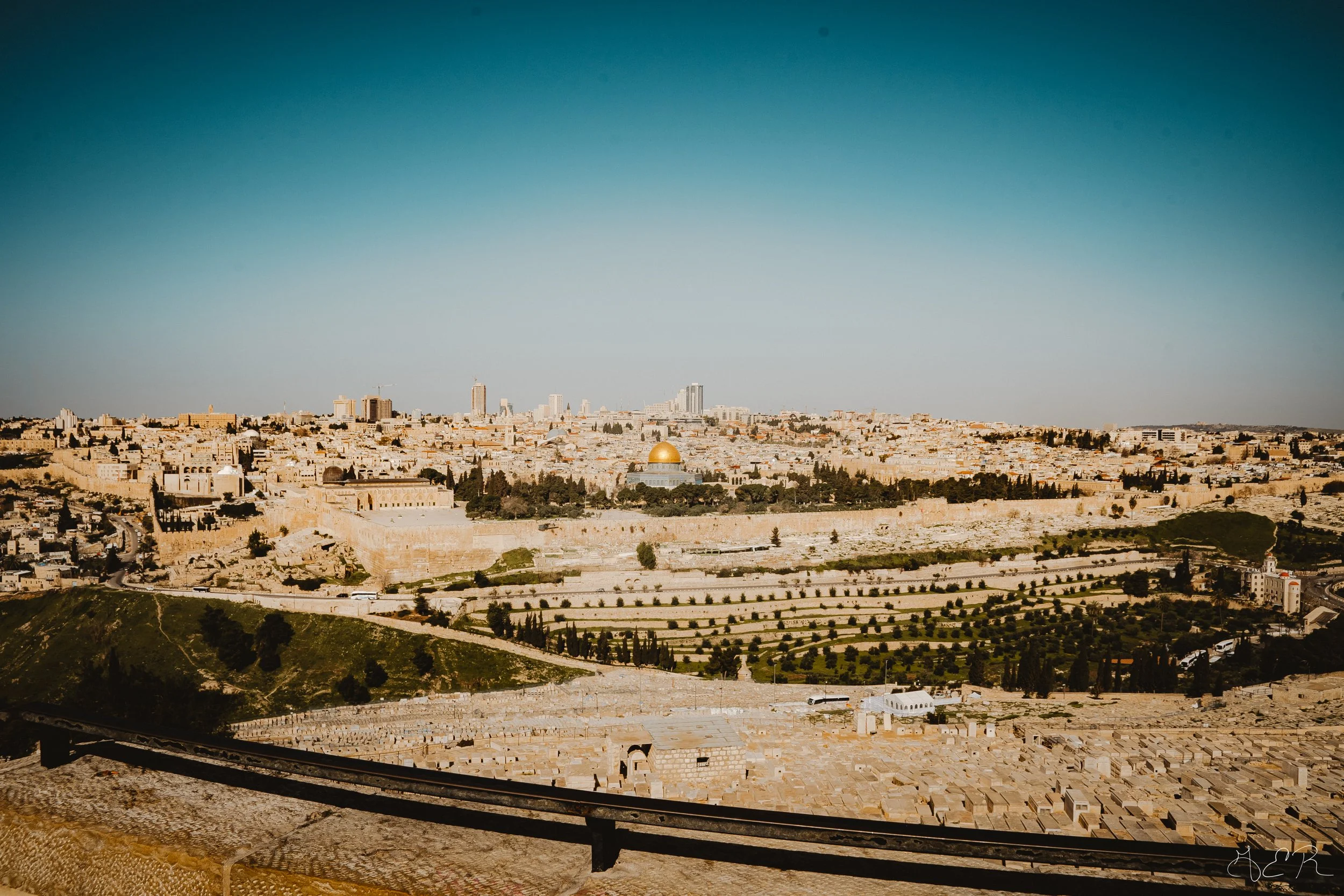 israel_march 2023_batch 2-247.JPG