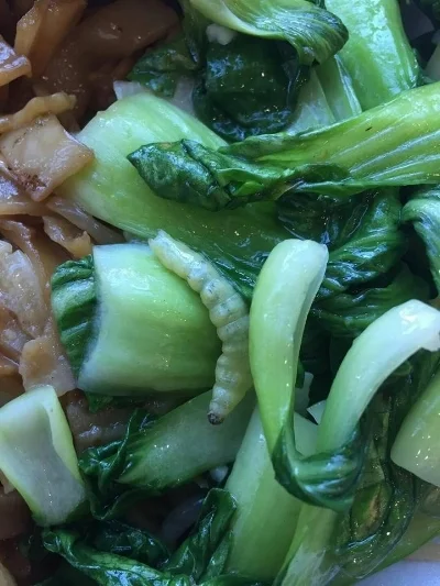 What seems to be a larvae found amongst leafy greens at Asian Gourmet. EDISON LIU/THE UNDERGROUND