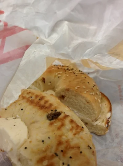 Fly found toasted into a a bagel from the HW Tim Horton’s. MANAN PATEL/THE UNDERGROUND