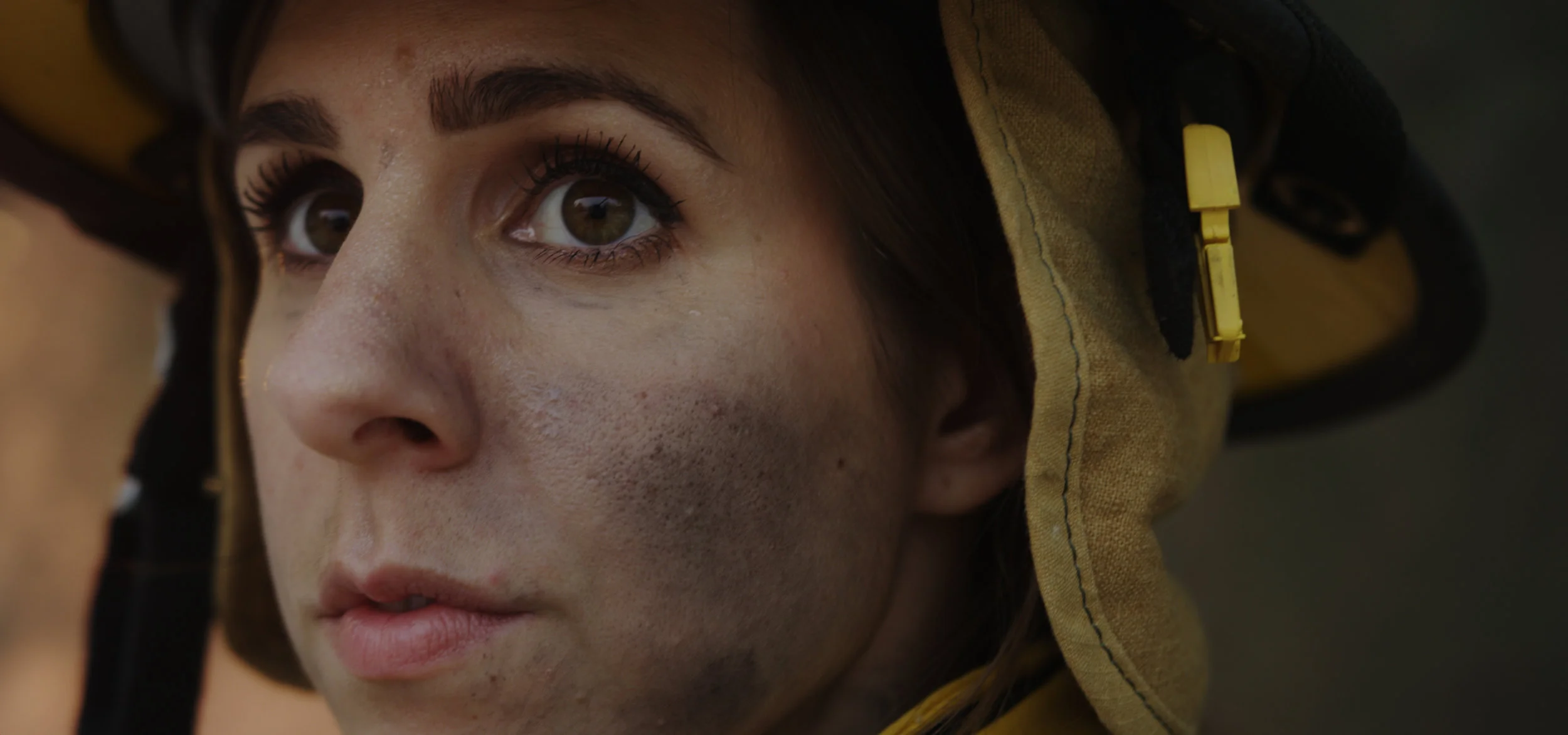 Sequence 01.00_02_43_17.Still025-1.jpeg