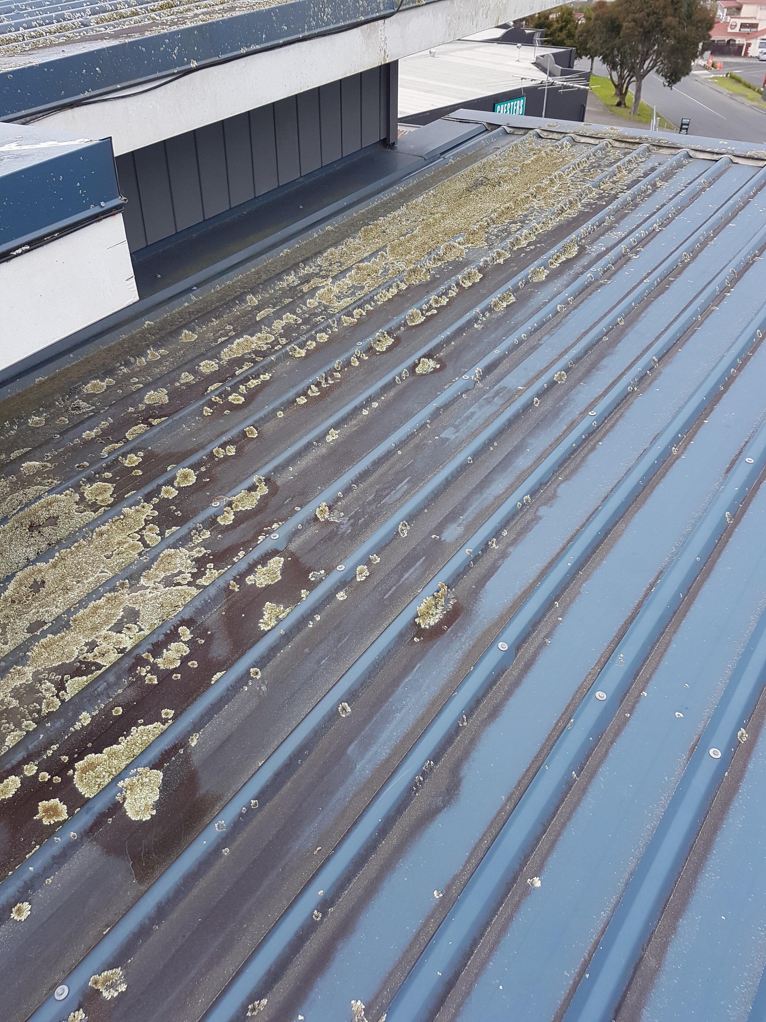 What is the best way to clean or treat a roof with moss?