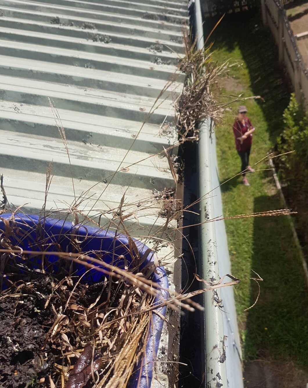 How often should I clean my gutters?