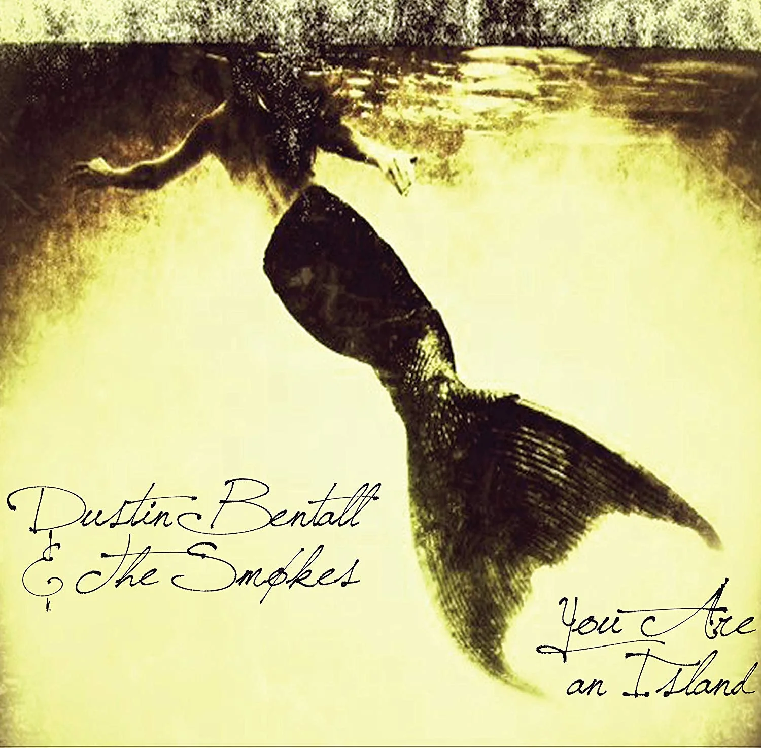 Dustin Bentall Island.jpg