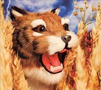 Prairie Cat Attacks!.jpg