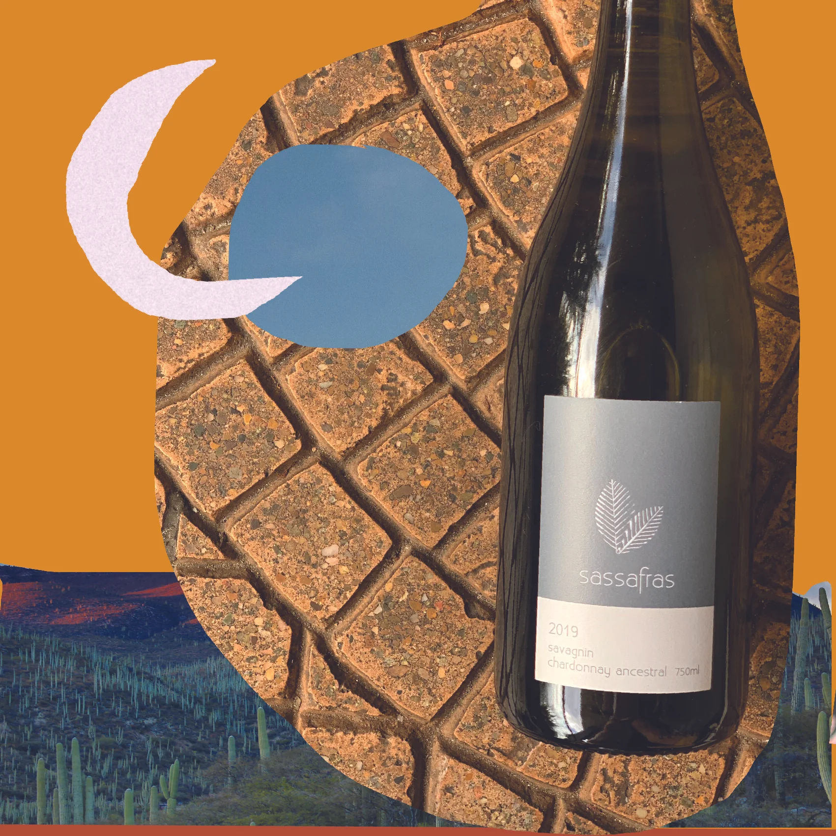 Sassafras White Ancestral Sparkling 