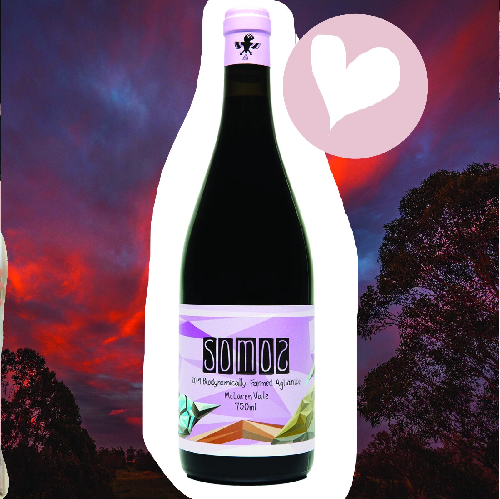 Somos Biodynamic Aglianico