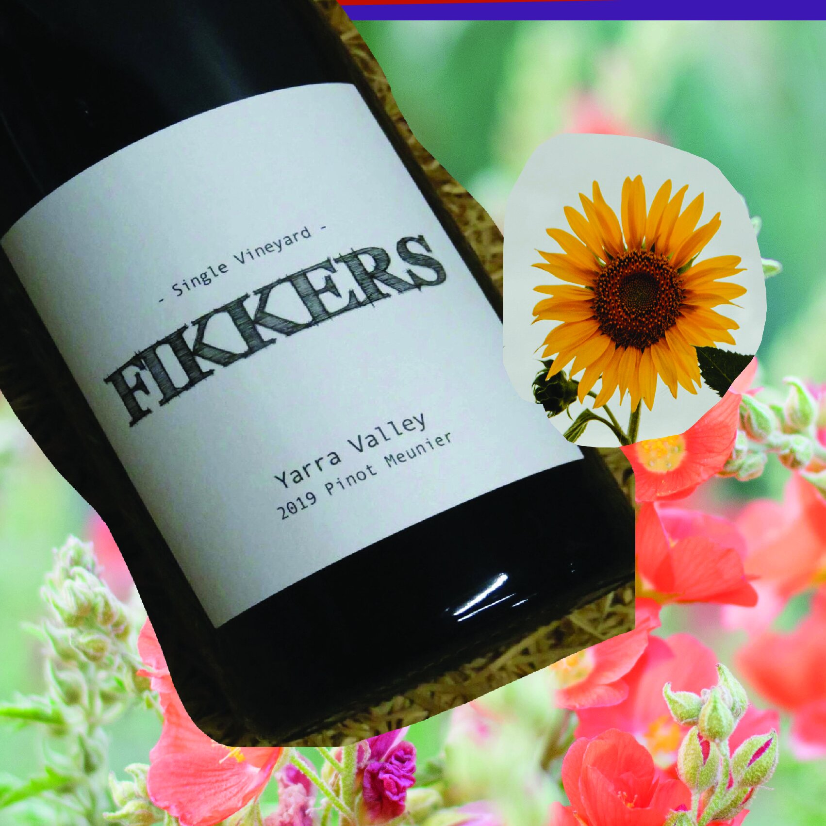 Fikkers Pinot Meunier
