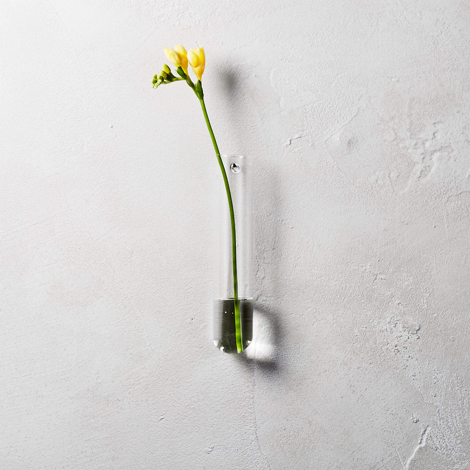 beaker glass tube wall vase.jpg