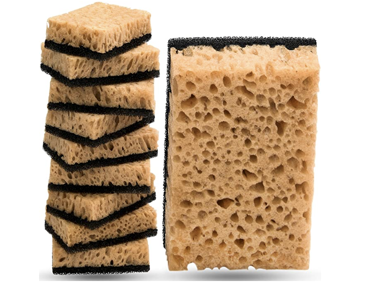sponges.png