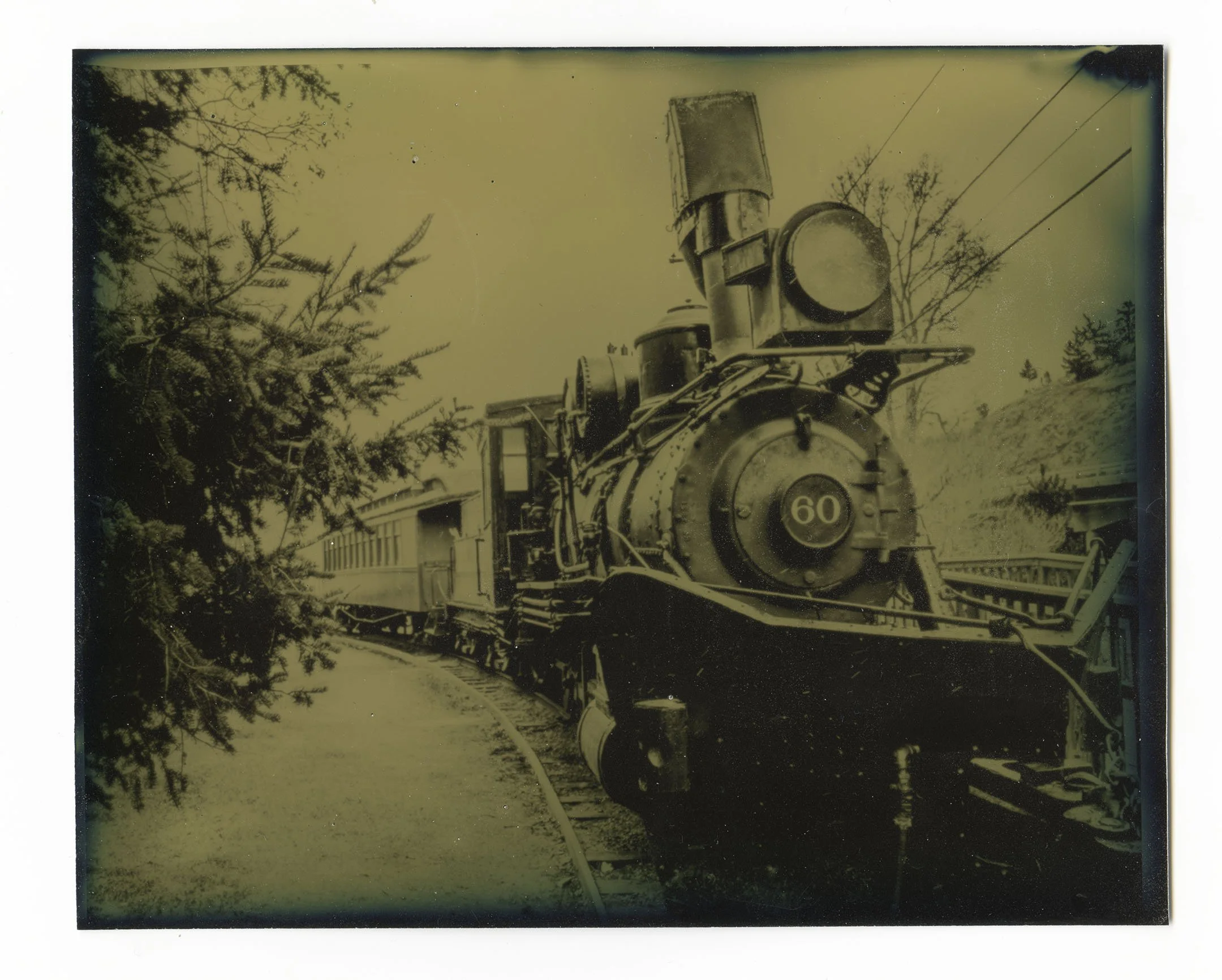 Schoenfelder_Brittany_Tintype.jpg