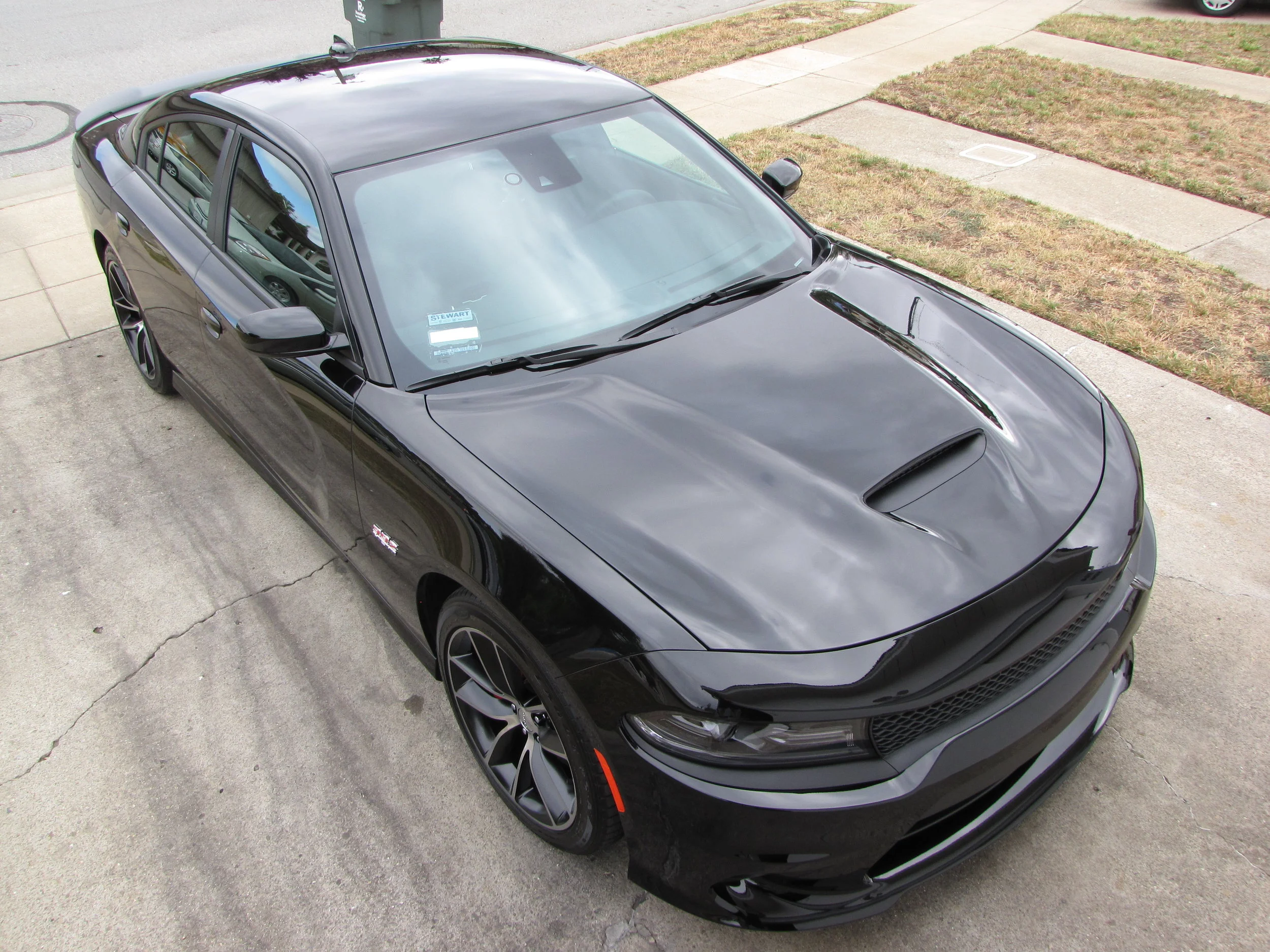 Dodge Charger - Paint Correction and Opti Gloss Coat package