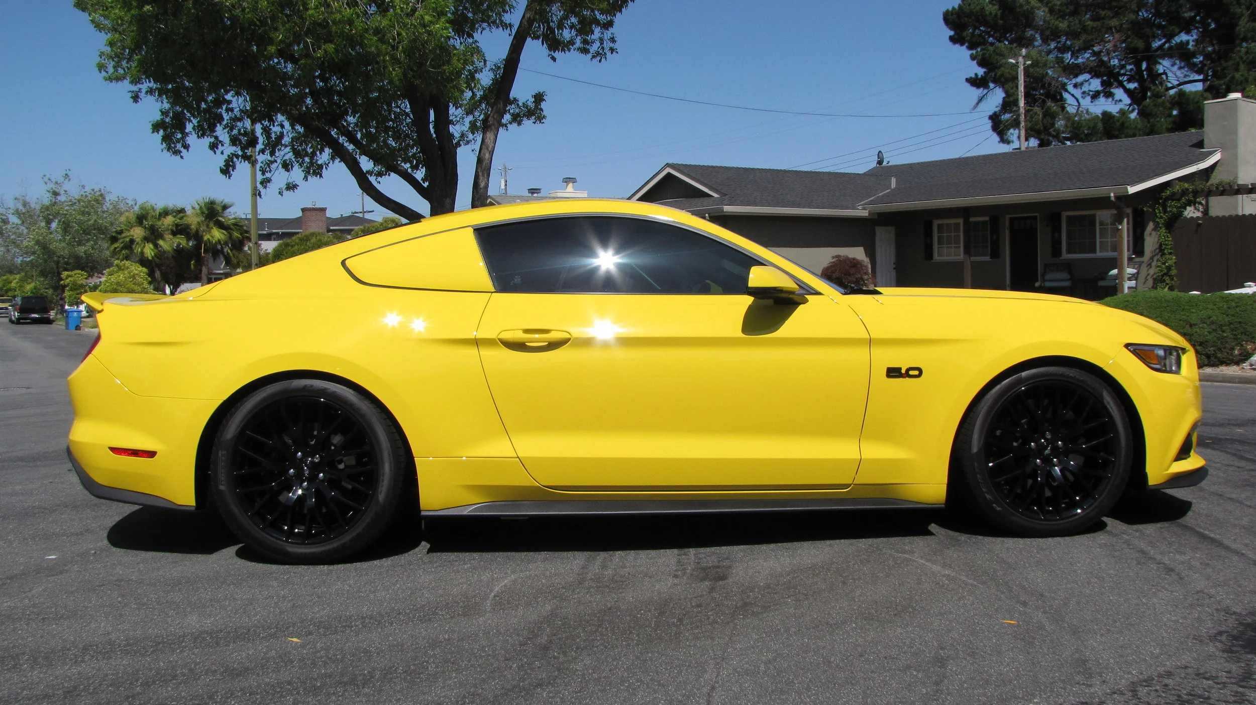 Ford Mustang Fastback - Paint Correction and Opti Gloss Coat package