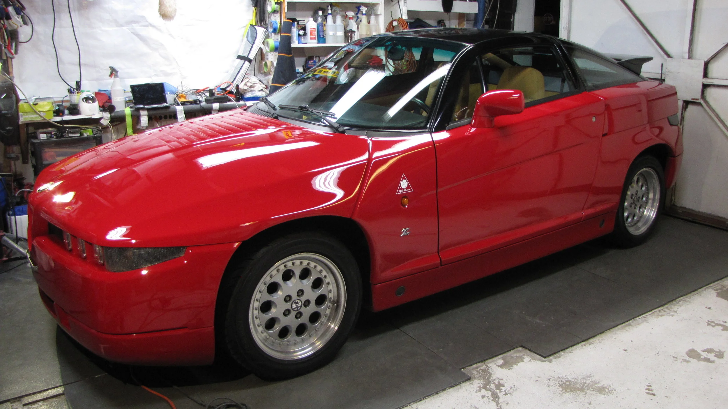 Alfa SZ - Hood Paint Correction and PPF prep